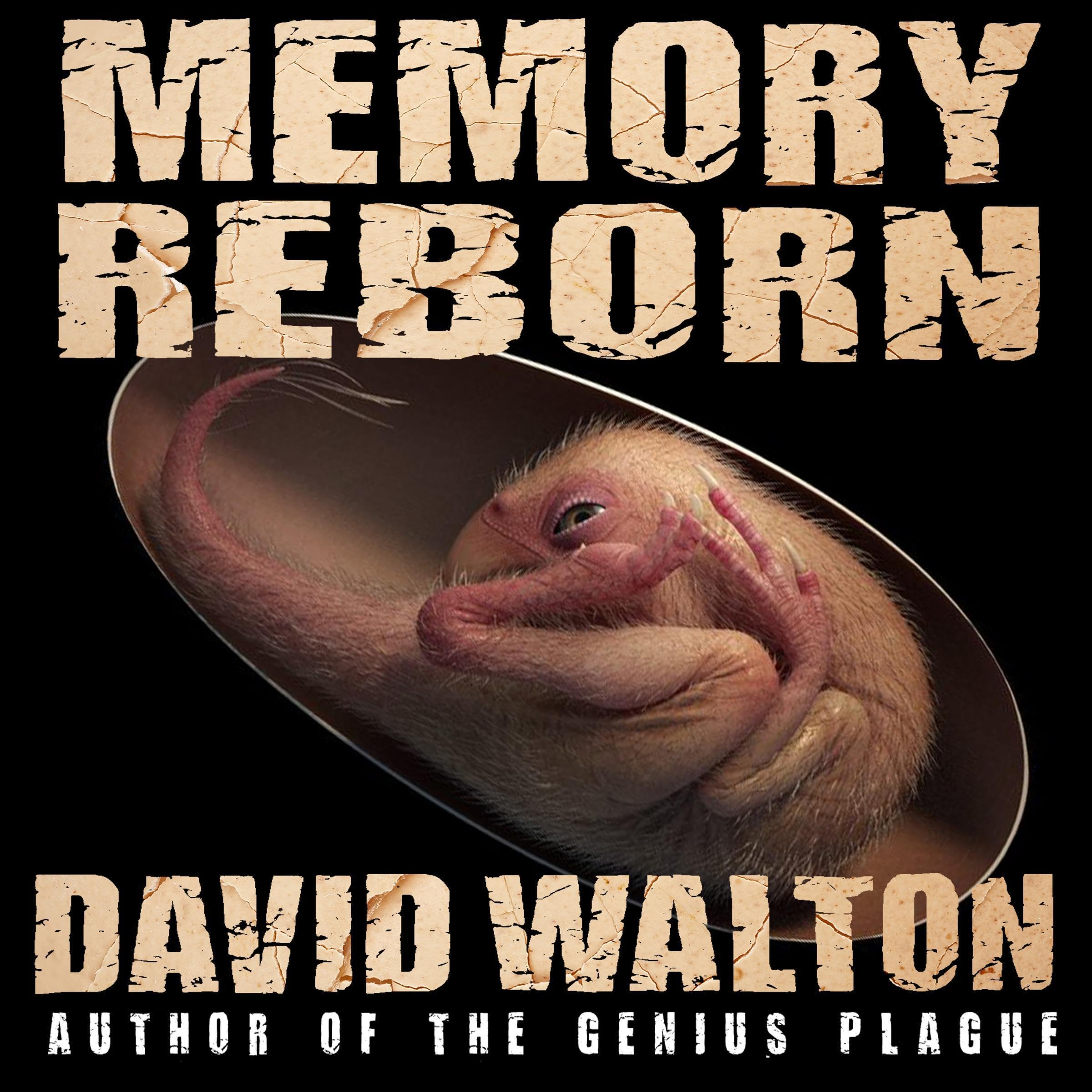 Cover art for Memory Reborn
