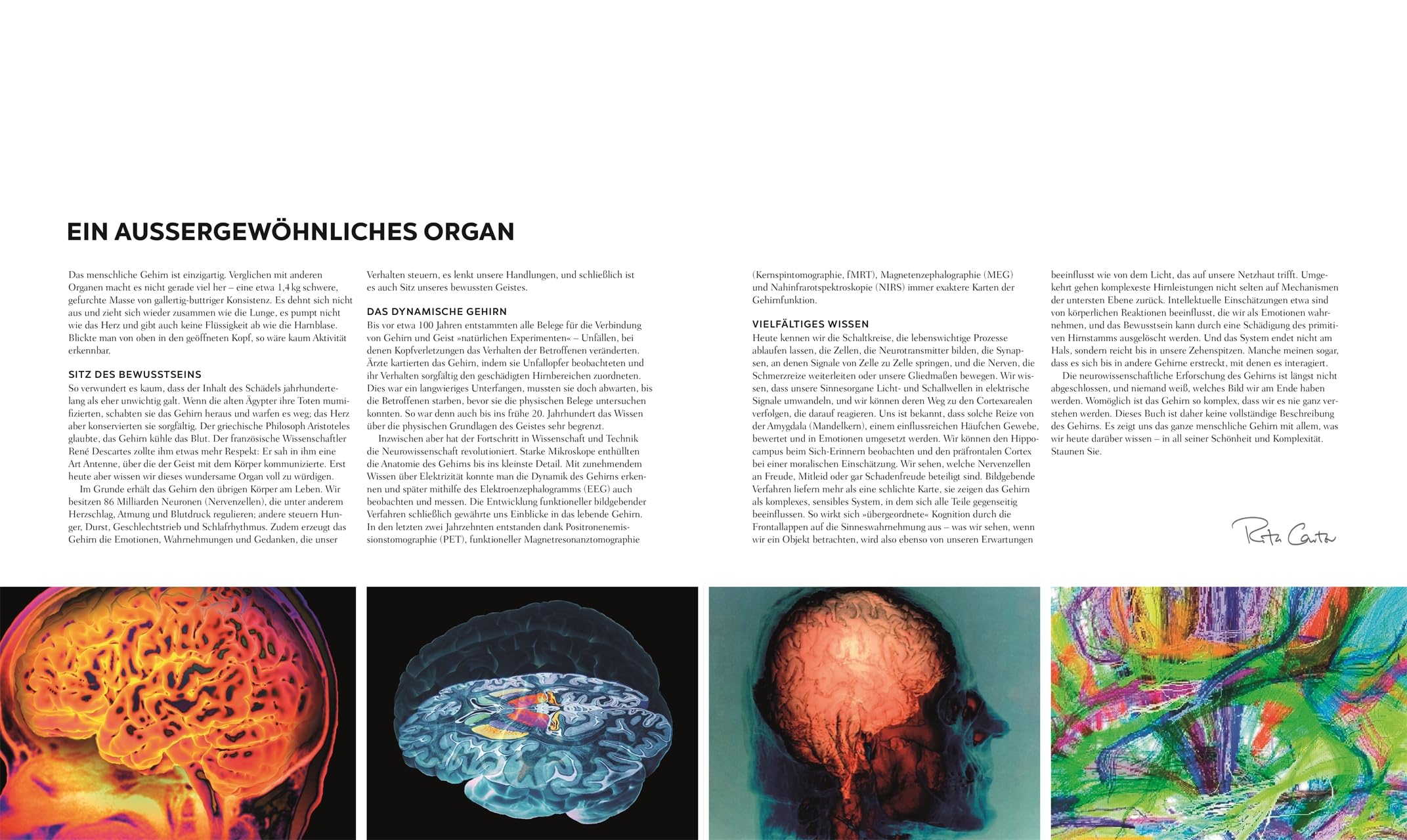 Das Gehirn: Anatomie, Sinneswahrnehmungen, Gedächtnis, Bewusstsein, Störungen. Aktualisierte Neuausgabe