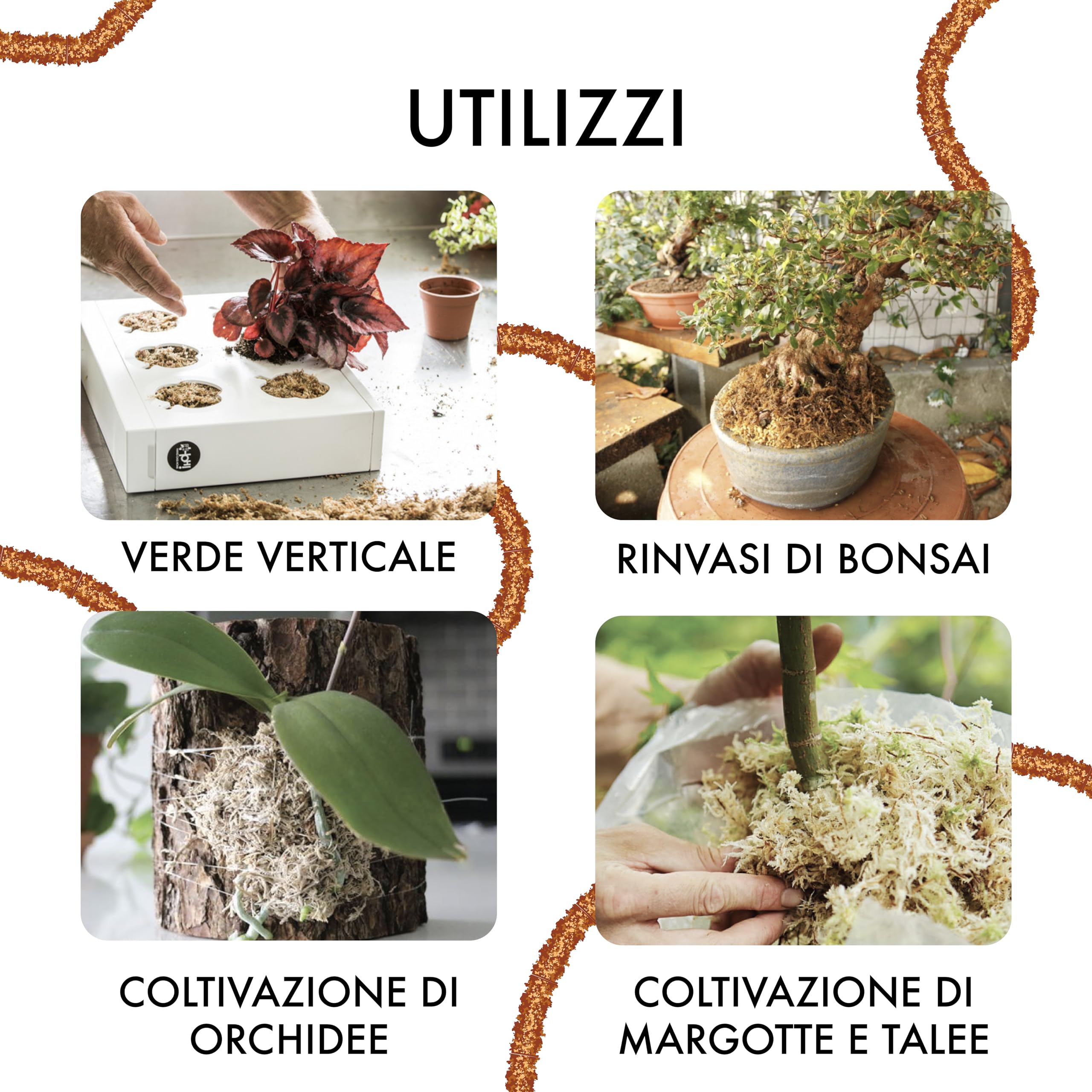 Sphaigne chilienne de première qualité 500g, entièrement Naturelle et biodégradable. Substrat idéal pour Les orchidées, Les bonsaïs et Les Jardins verticaux.