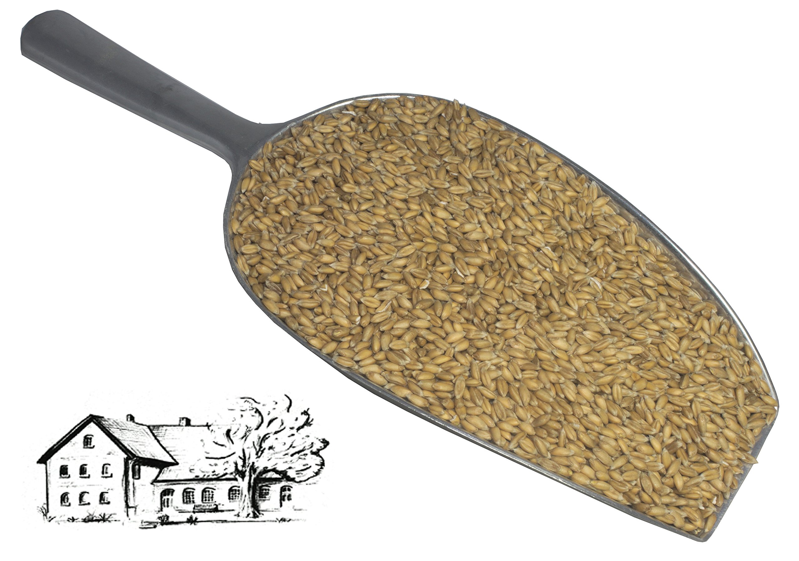 Dinkelkörner 25 kg (Urdinkel) direkt vom Dinkelhof Horstmann, aktuelle Ernte 2025