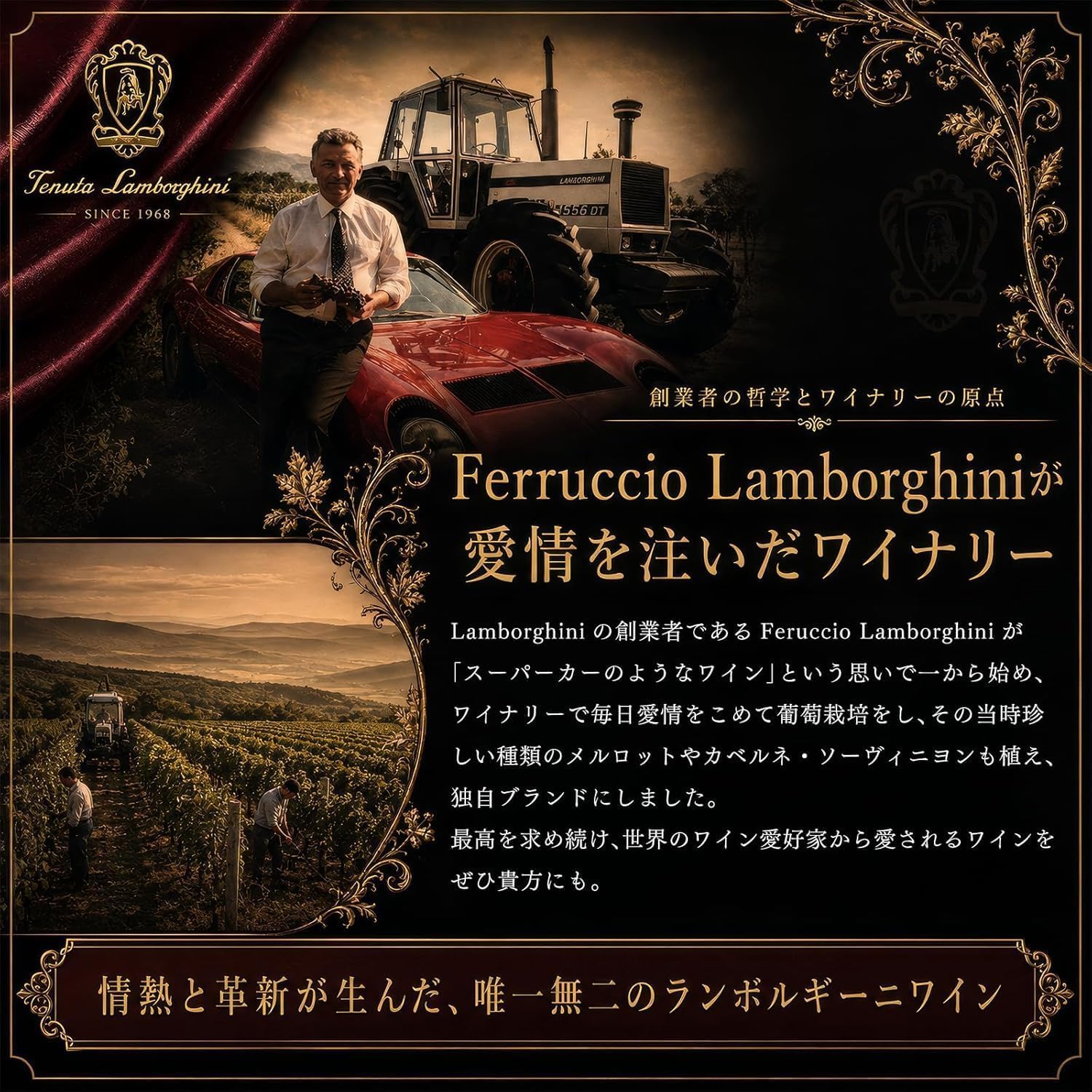 Amazon.co.jp: ランボルギーニ ワイン Lamborghini チェンタンニ 赤白