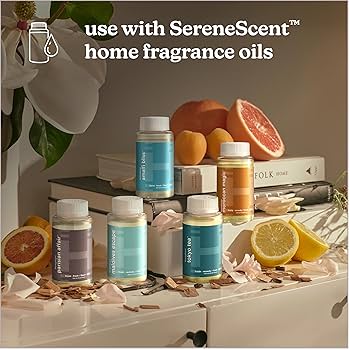 芳香器・アロマポット・アロマストーン 2671.NEIGHBORHOOD NUMBER ONE/OILDIFFUSER Amazon.com: Airome Potted Succulent Medium Essential Oil