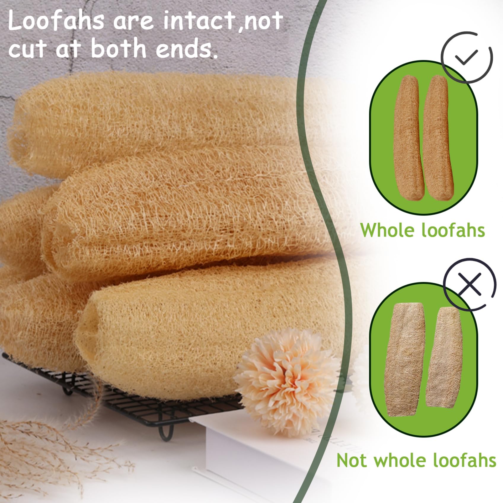 Ducha Loofah 5 piezas 12-16 pulgadas Esponja de lufa natural biodegradable Exfoliante para el cuerpo Baño de espuma suave y fácil para hombres y mujeres...