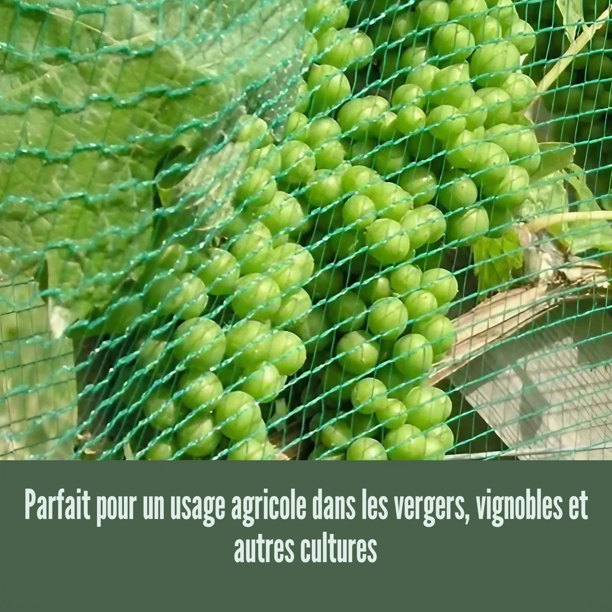 ESTO Filet en tissu anti-grêle, adapté pour fruits et légumes, jardins, plantes, anti‑oiseaux, en PE stabilisé aux rayons UV, bâche en toile, 5 m / 3 m, sans clips