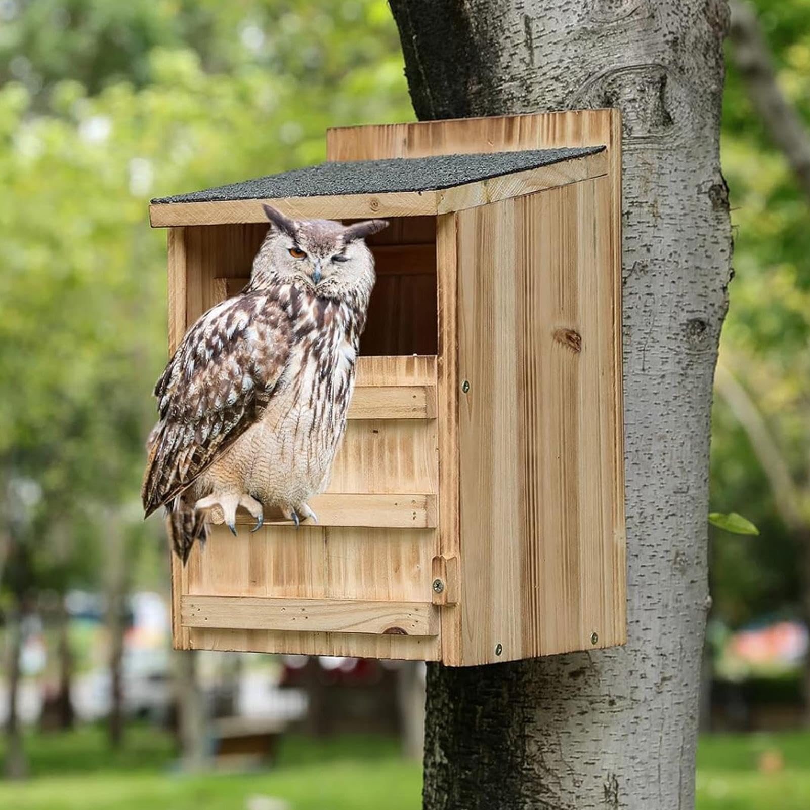 Budki Lęgowe dla Sów na Wolnym Powietrzu Drewniane schronienie lęgowe | Ogrodowy Domek Do Użycia Na Trawniku, W Ogrodzie, Na Podwórku, Patio, Ganku, Balkonie, Stodole I Farmie