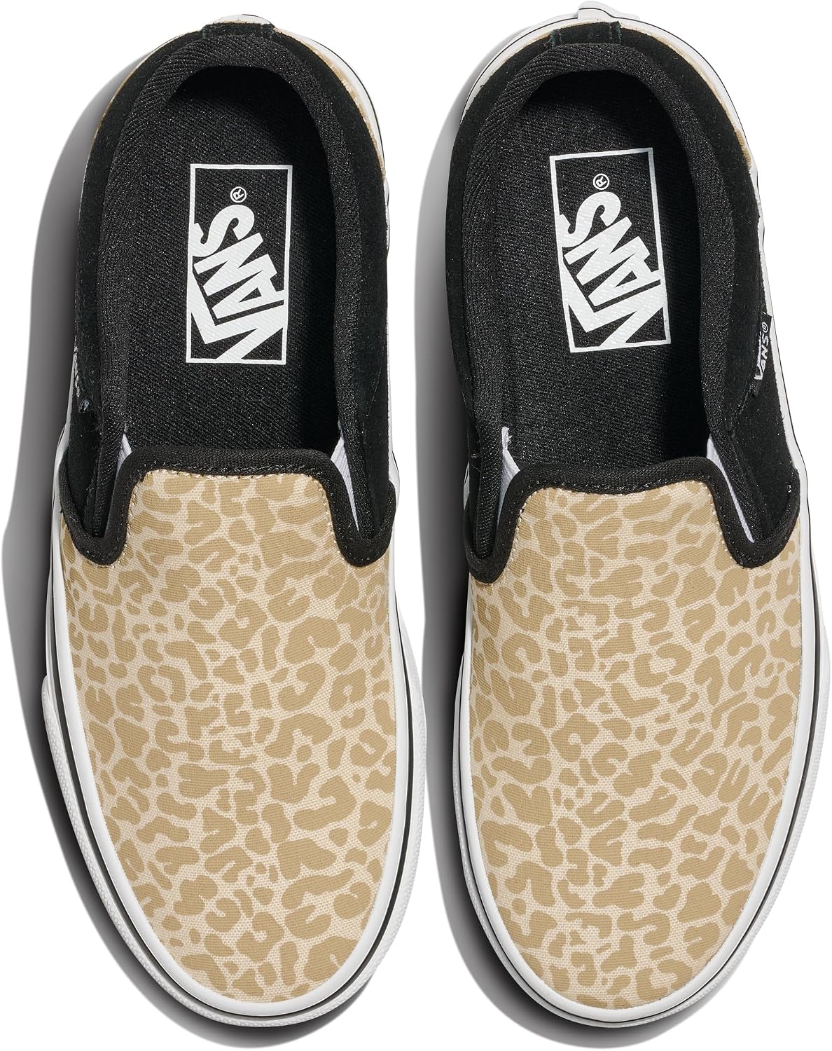 Vans Kids' Asher Low Top Shoe