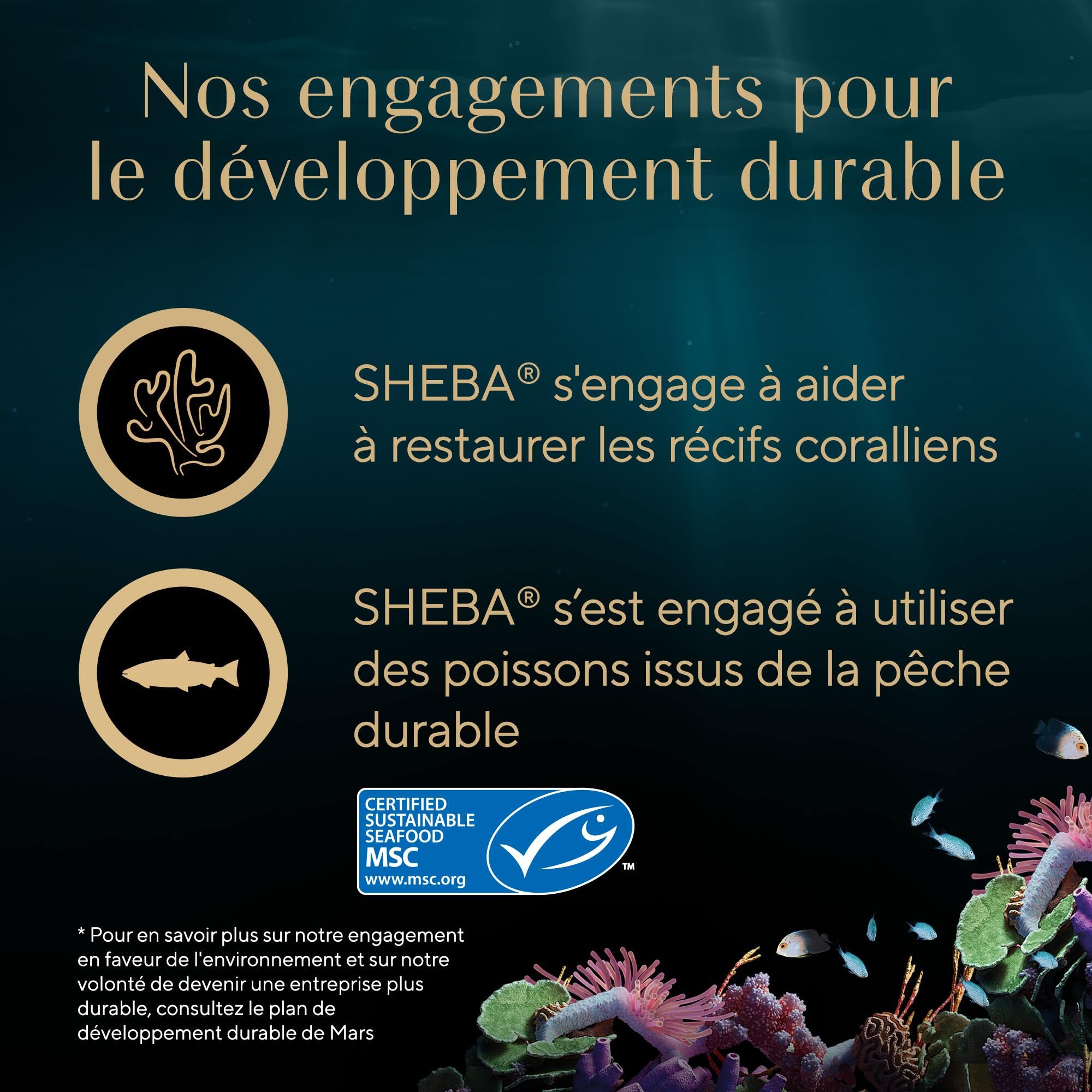 SHEBA Soupe Sachet de Nourriture Humide pour Chat Adulte au Poulet, Pack de 40 (10 x 4 x 40 g)
