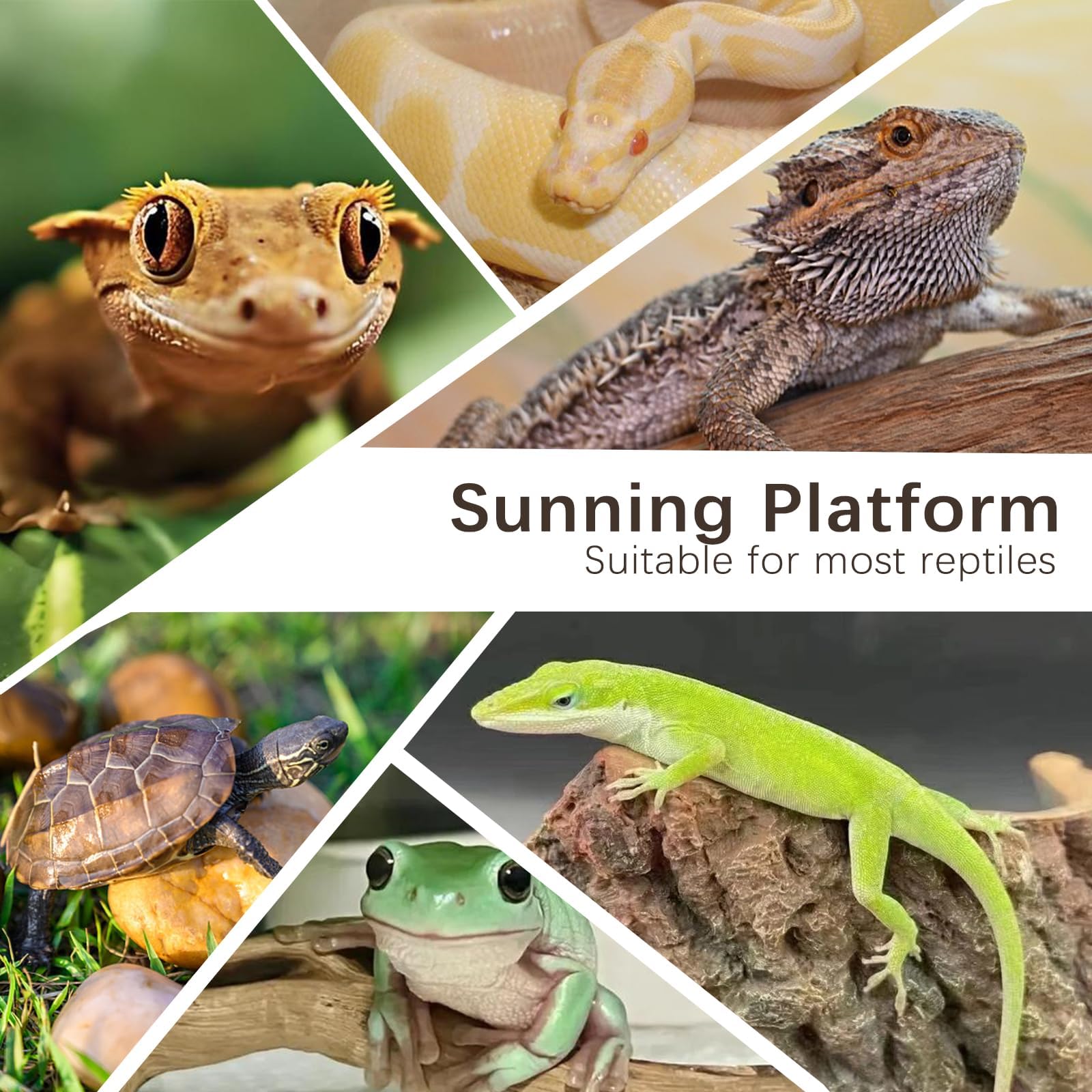 Plataforma de dragón Barbudo con Pelo de Madera, Cueva escondite de Reptiles, Roca Tomando el Sol, decoración de hábitat de terrario, Accesorios de Tanque para Tortuga, lagartos, Serpientes