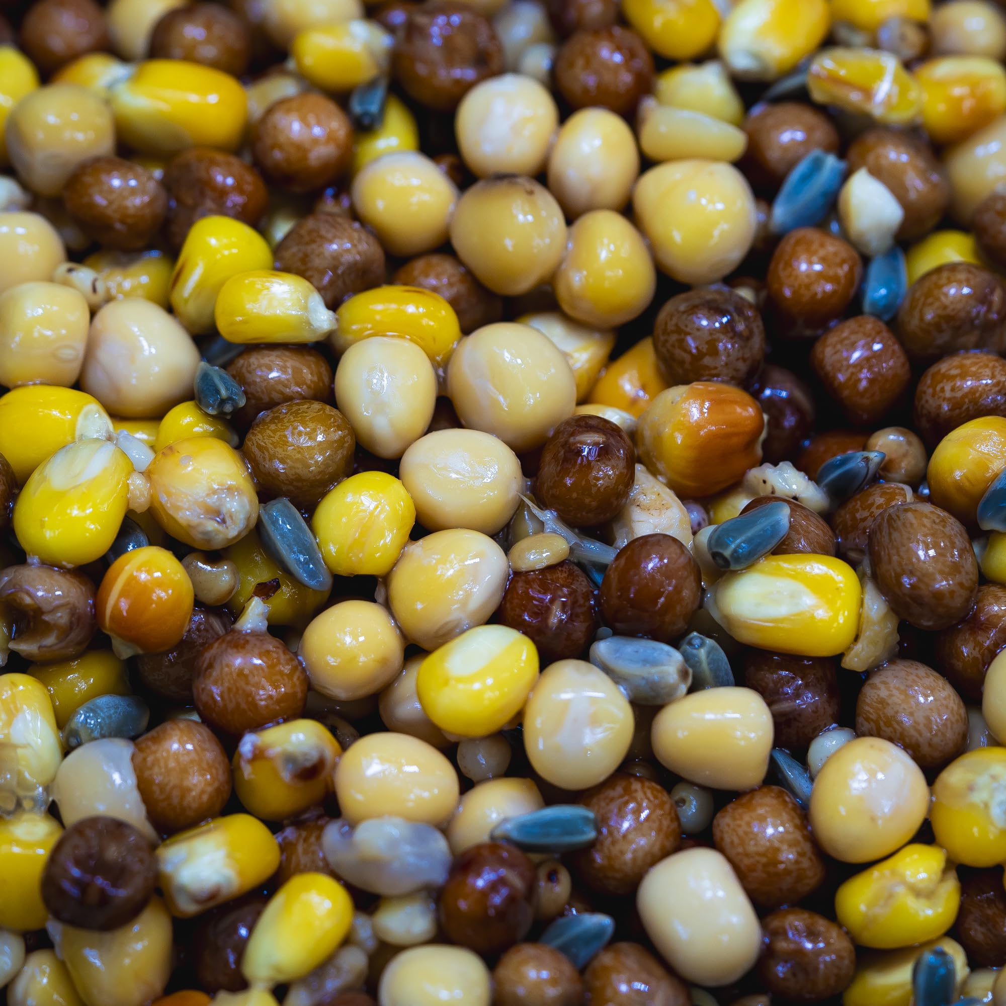 Jumbo Spod Mix for Carp Fishing FREZZER BAIT10kg