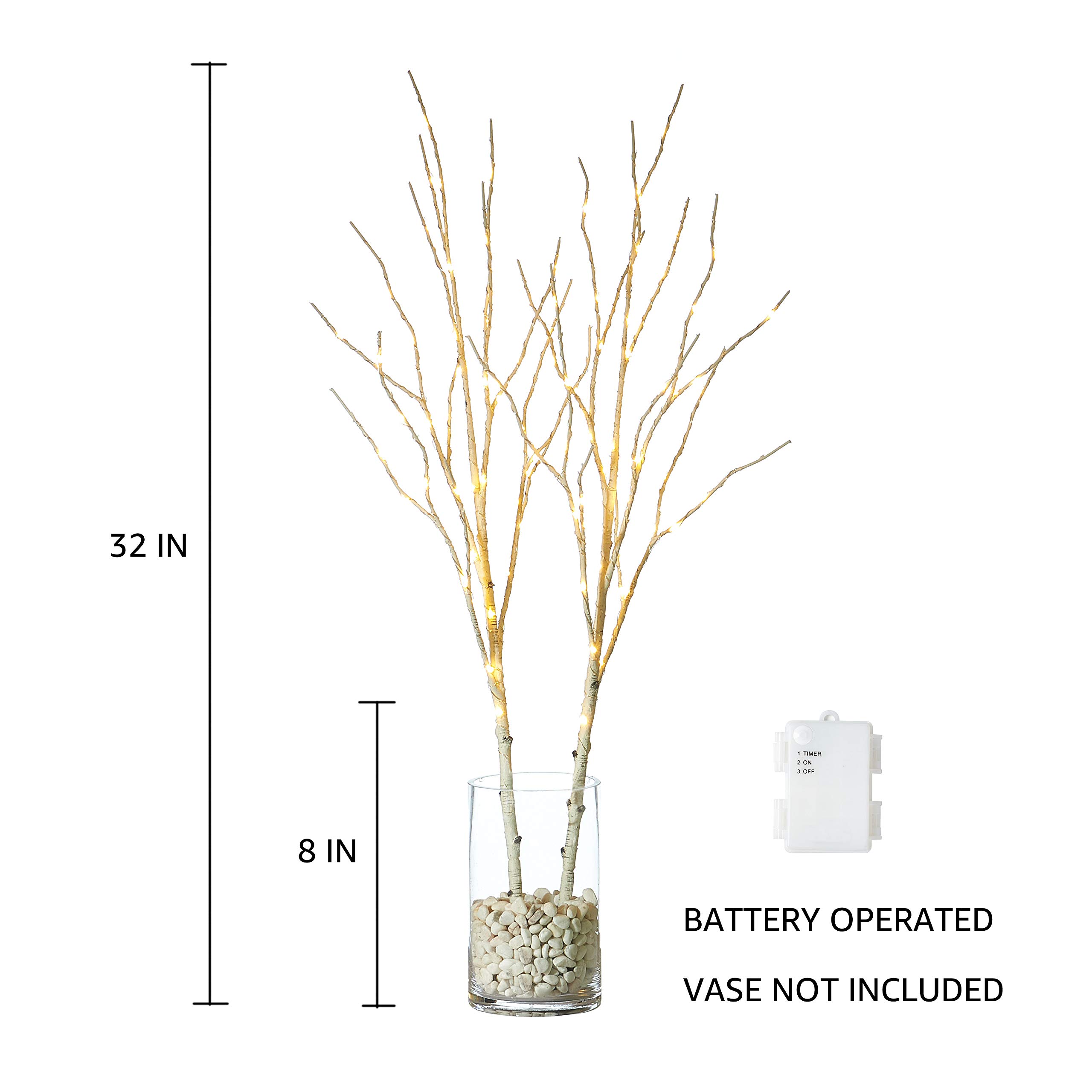 Hairui Lot de 2 branches lumineuses à piles Lot de 2.