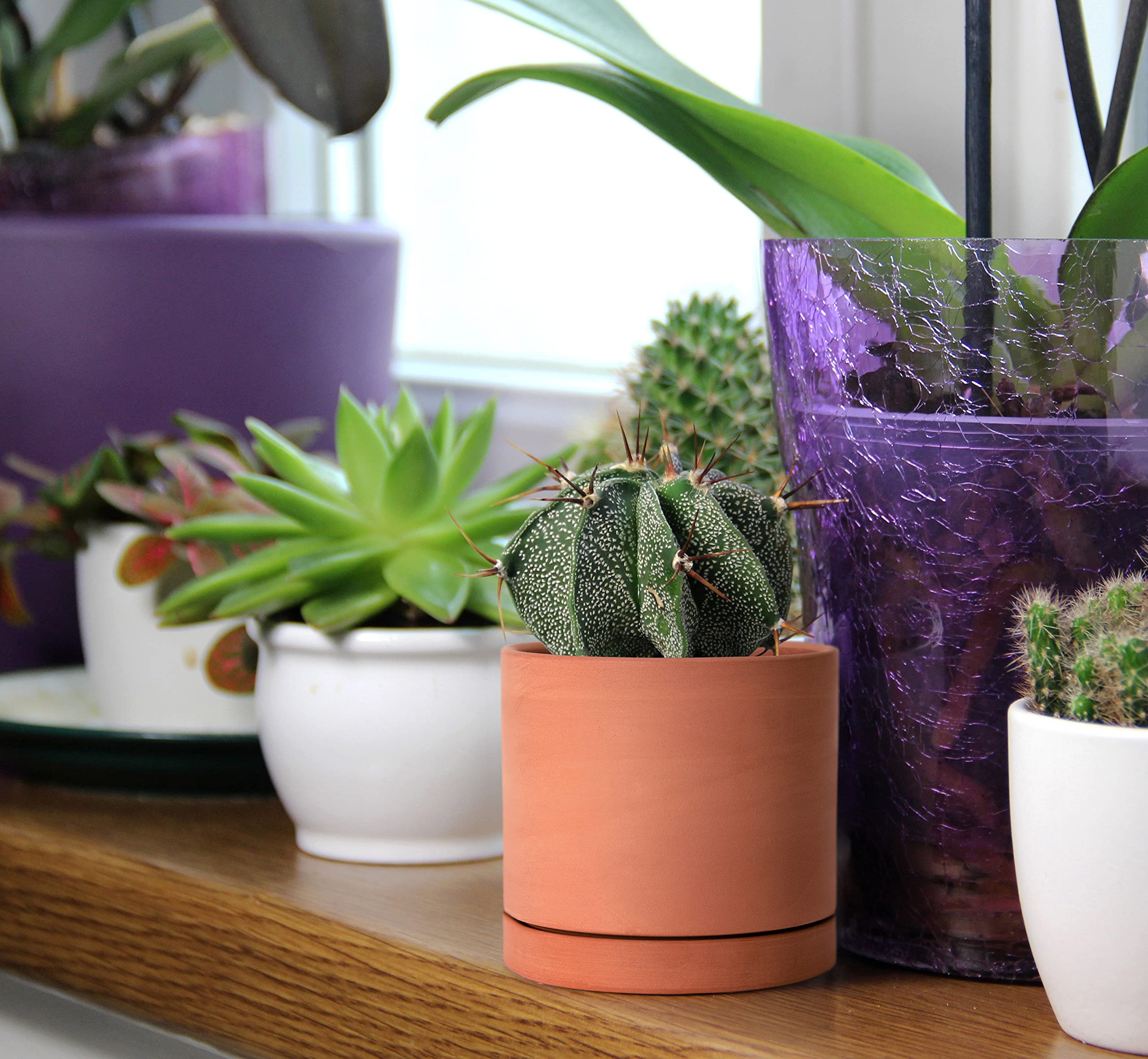 鉢・プランター SRL.DEN-4X/ CE-PLANT POT NEIGHBORHOOD Amazon.com : D'vine Dev X-Small 4 Inch Terracotta Plant Pot with