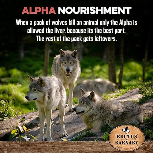 Miniatura 7 de BRUTUS & BARNABY Decoración de comida para perros  Hígado de res  Mejora la comida de tus perros con esta mezcla llena de sabor  Espolvorea sobre el