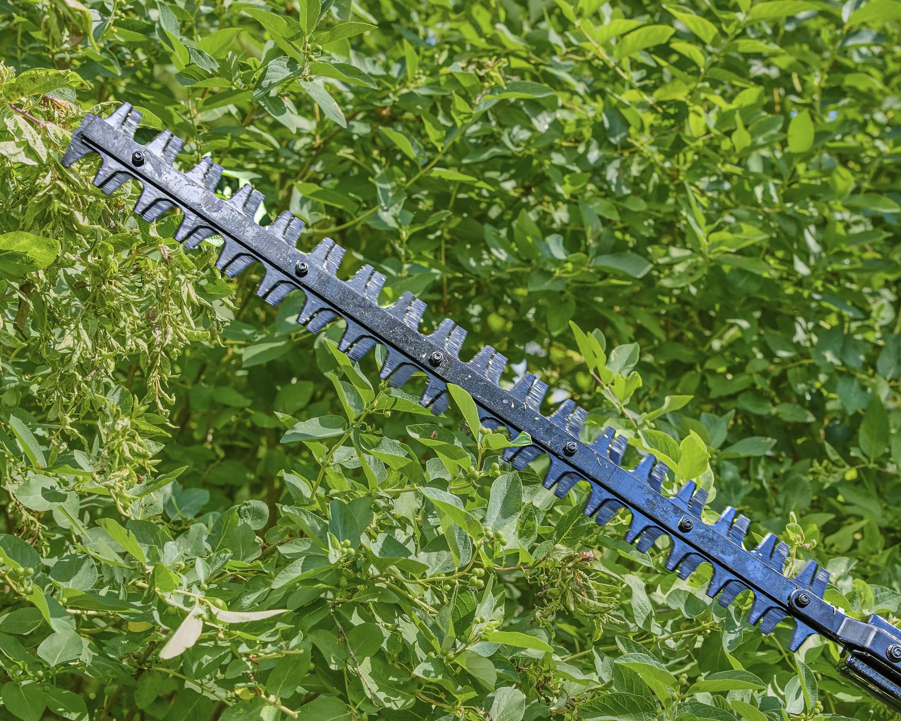 Skil Accesorio para Cortasetos de 22 Pulgadas - PHT2200