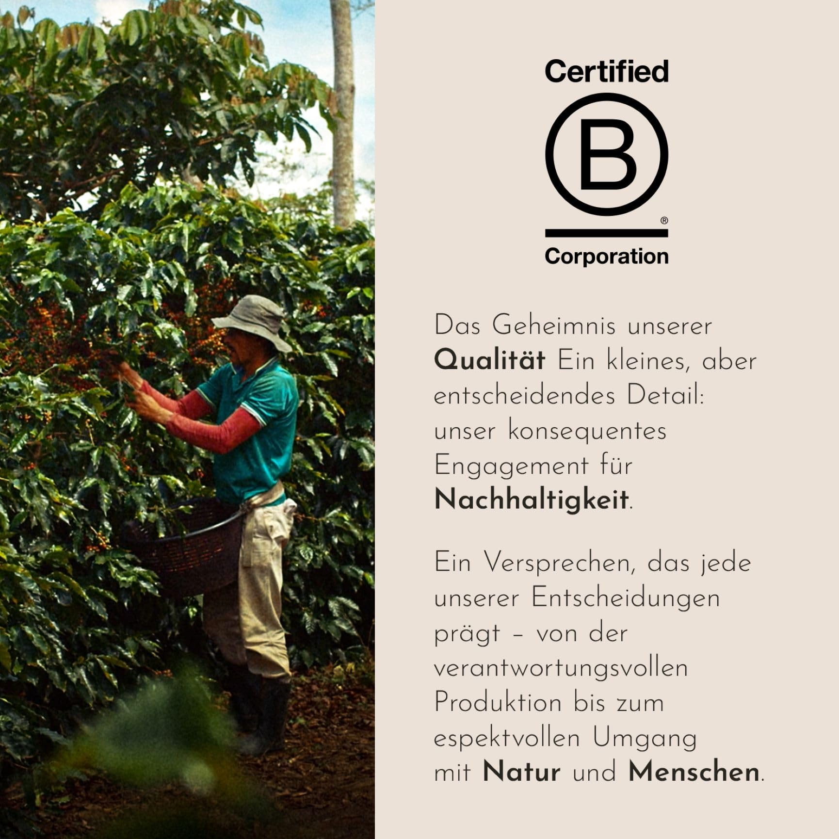 illy, Kaffee in Kapseln Iperespresso CLASSICO, 108 Kapseln Insgesamt | 100% Arabica mit Noten von Orangenblüten und Jasmin, Sanfter Geschmack und Süßer Nachgeschmack, 6 Packungen à 18 Kapseln