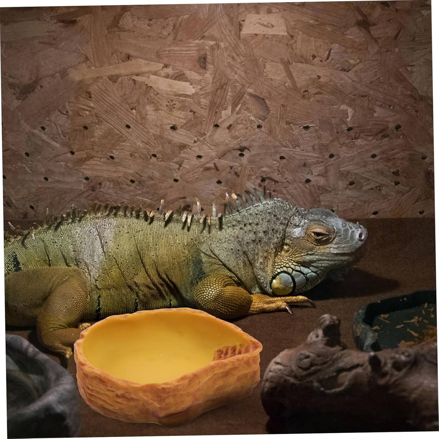 Happyyami Rocks Pattern Reptile Food Basin Durable Feeding Bowl for Turtles Lizards Frogs Spill-Resistant Deep Water Holder for Reptile Habitat Easy to Clean and Maintain