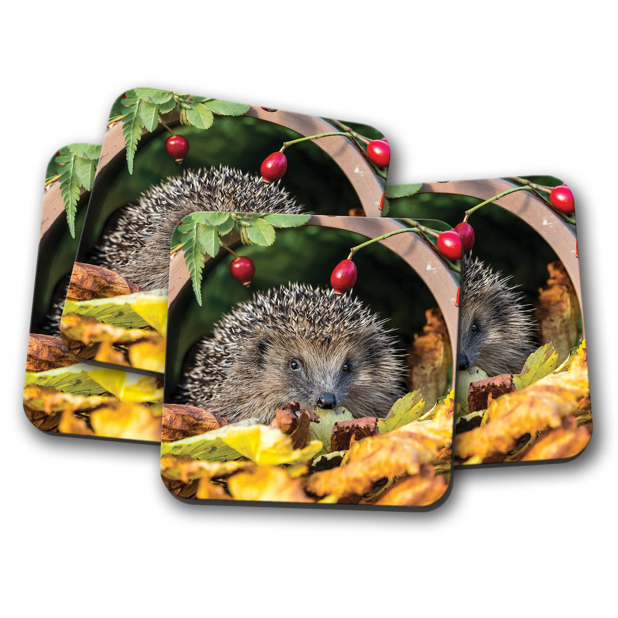 Destinationvinyl Multicolor 4 Set - Cute Garden Hedgehog Coasters - Nature Wildlife Coaster #13045