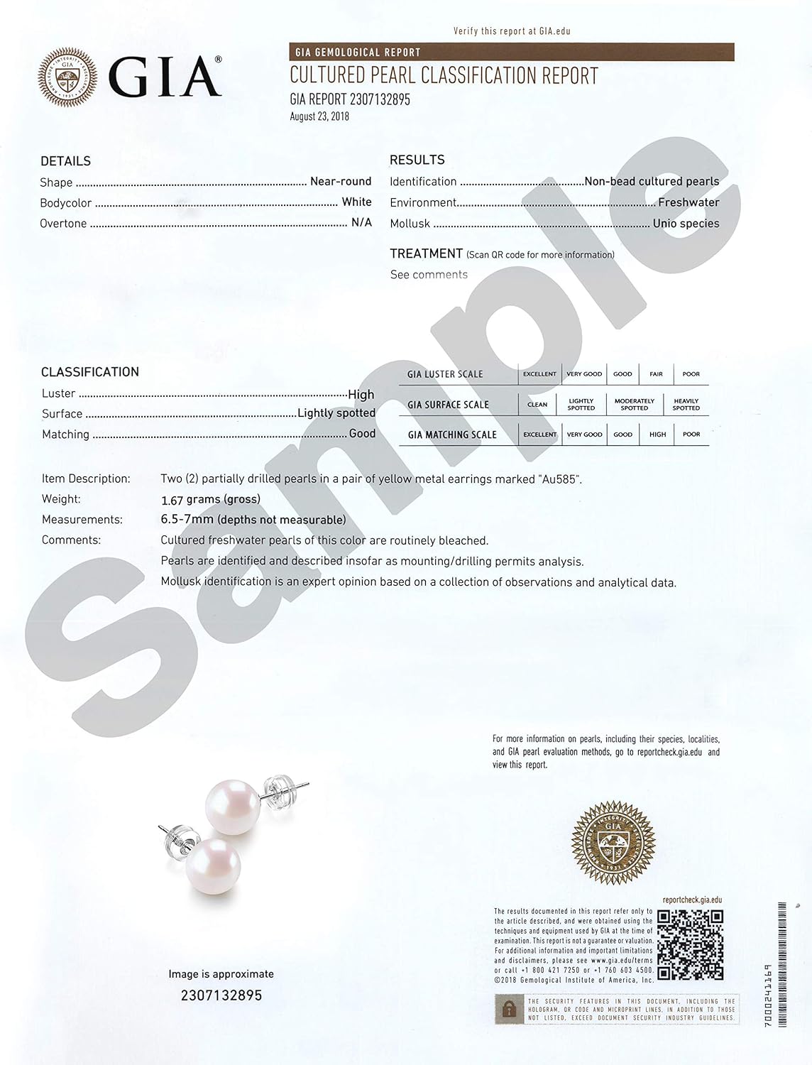 JORA 14K Gold Round White Freshwater Cultured Pearl Stud Earrings for Women - AAAA Quality - Image 6