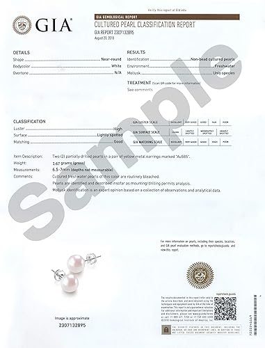 Miniatura 6 de JORA Aretes redondos de oro de 14 quilates con perlas cultivadas de agua dulce blanca para mujer, calidad AAAA