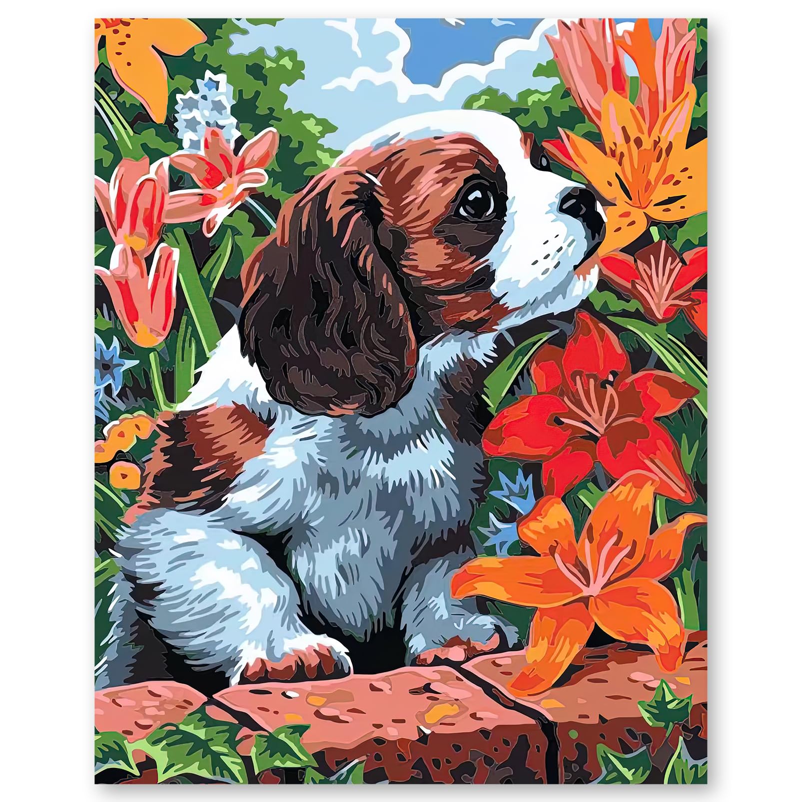 YFesoin Pintar por Numeros Adultos, DIY Pintura por Números con Pinceles, Pigmento Acrílico, Manualidades Adultos Kit de Pintura al óleo de Lienzo 40 x 50cm (Villa Costera)