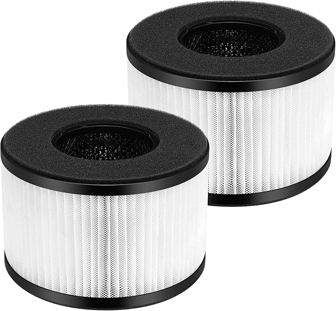 2 Pack BS03 True HEPA Replacement Filter for PARTU BS03