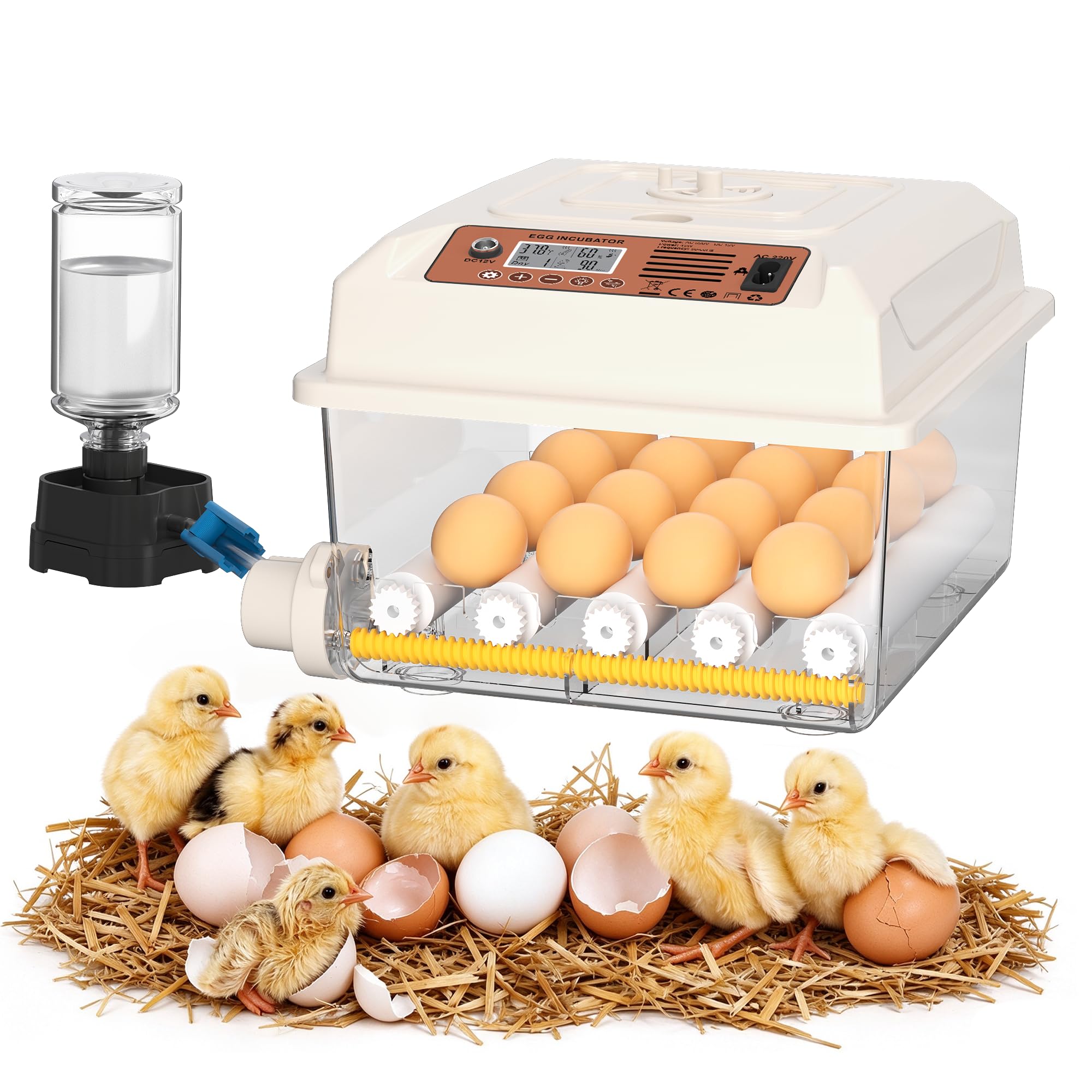 Chalixion Incubatore per uova da cova, polli incubatori con controllo della temperatura e cavallo automatico (bianco, 16 uova)