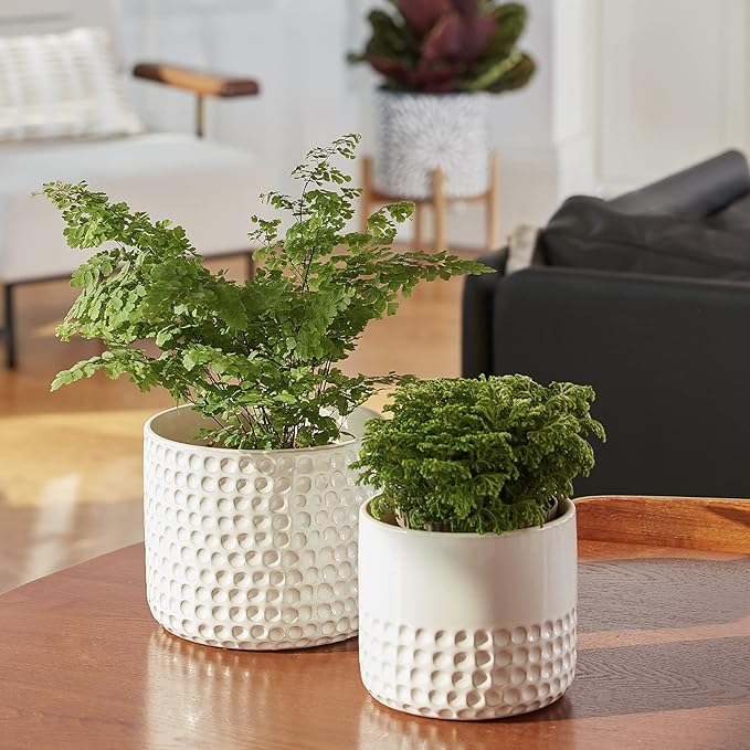 The La Jolie Muse Ceramic Planter Flower Plant Pots are a set of two stylish and modern plant pots designed for indoor use. Both pots measure 6.7 inches in height and 5.5 inches in diameter, providing plenty of space for your favorite houseplants. The pots feature a concave dot pattern design in a neutral ivory color, making them versatile enough to complement any home decor.