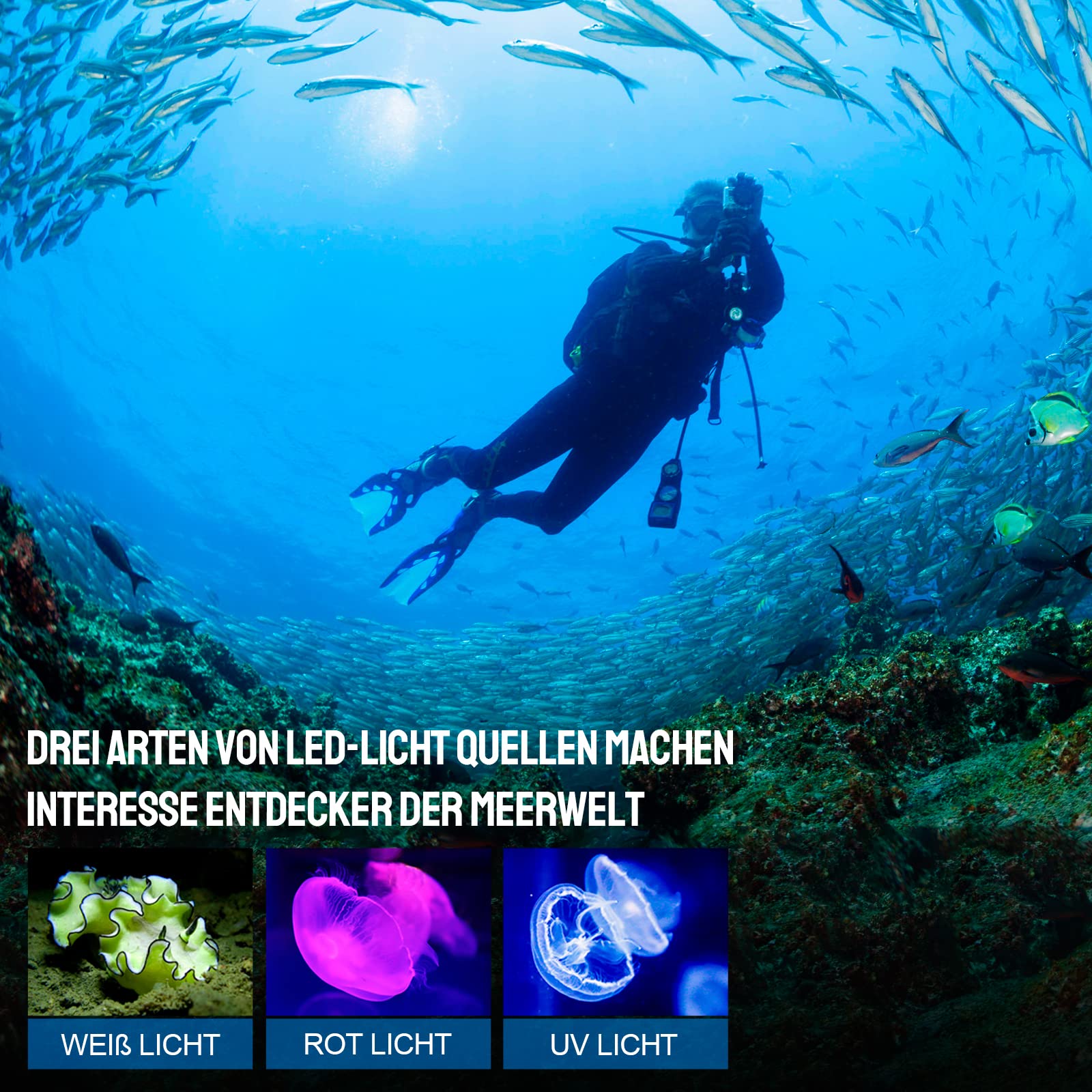 TrustFire DF50 KIT Unterwasser Tauchen Taschenlampe 6500 Lumen mit 1 x Akkupack Type-C USB aufladbar und Wasserdicht bis 70M - Professionell mit 3 Verschiedene LED-Typ für Fotografie