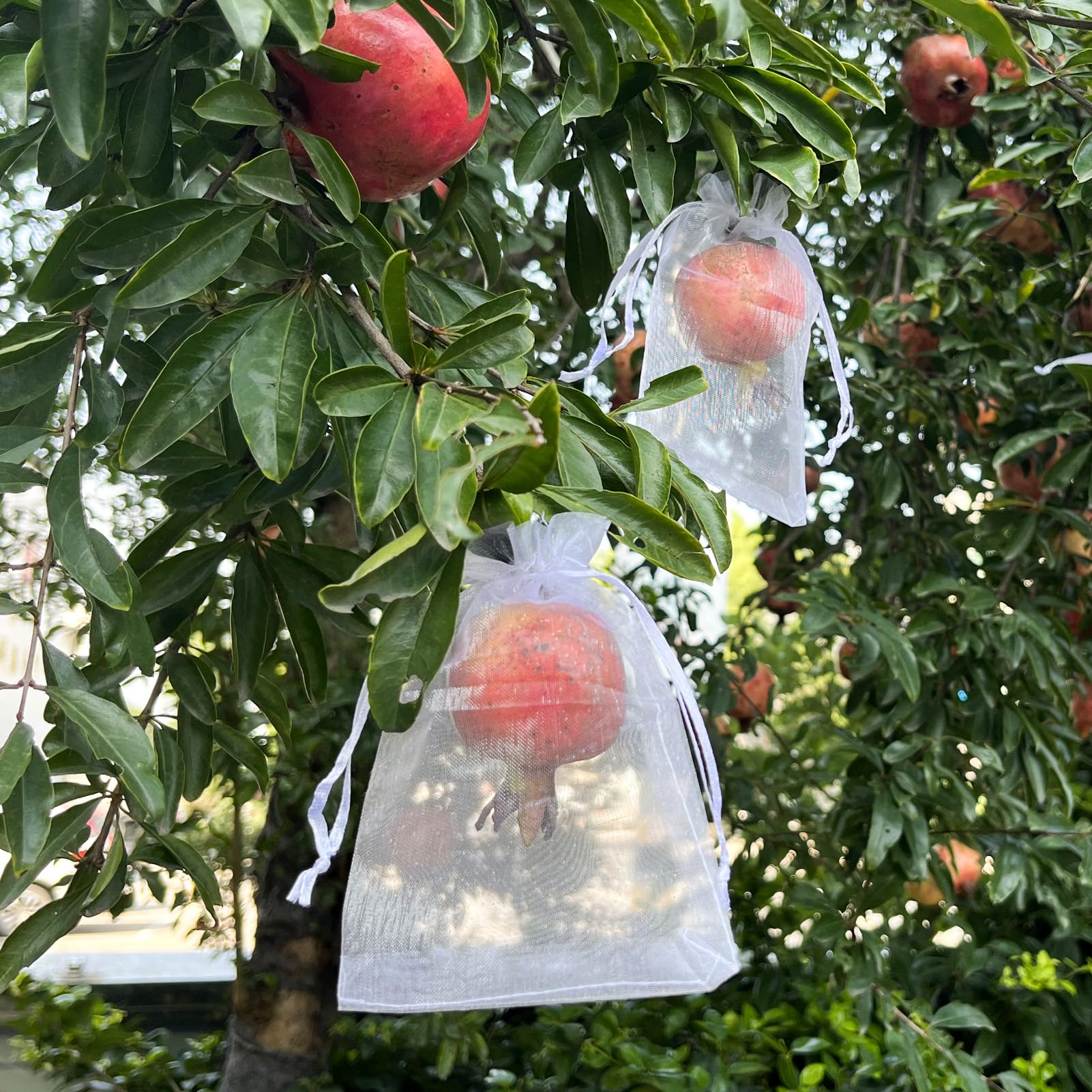 QPRETTY DU 100 szt. torebek z organzy, 20 x 30 cm, białe torby ochronne na owoce, siatka ze sznurkiem, ochraniacze na owoce, do winogron, mango, drzew owocowych, warzyw, ogrodu, 100 szt