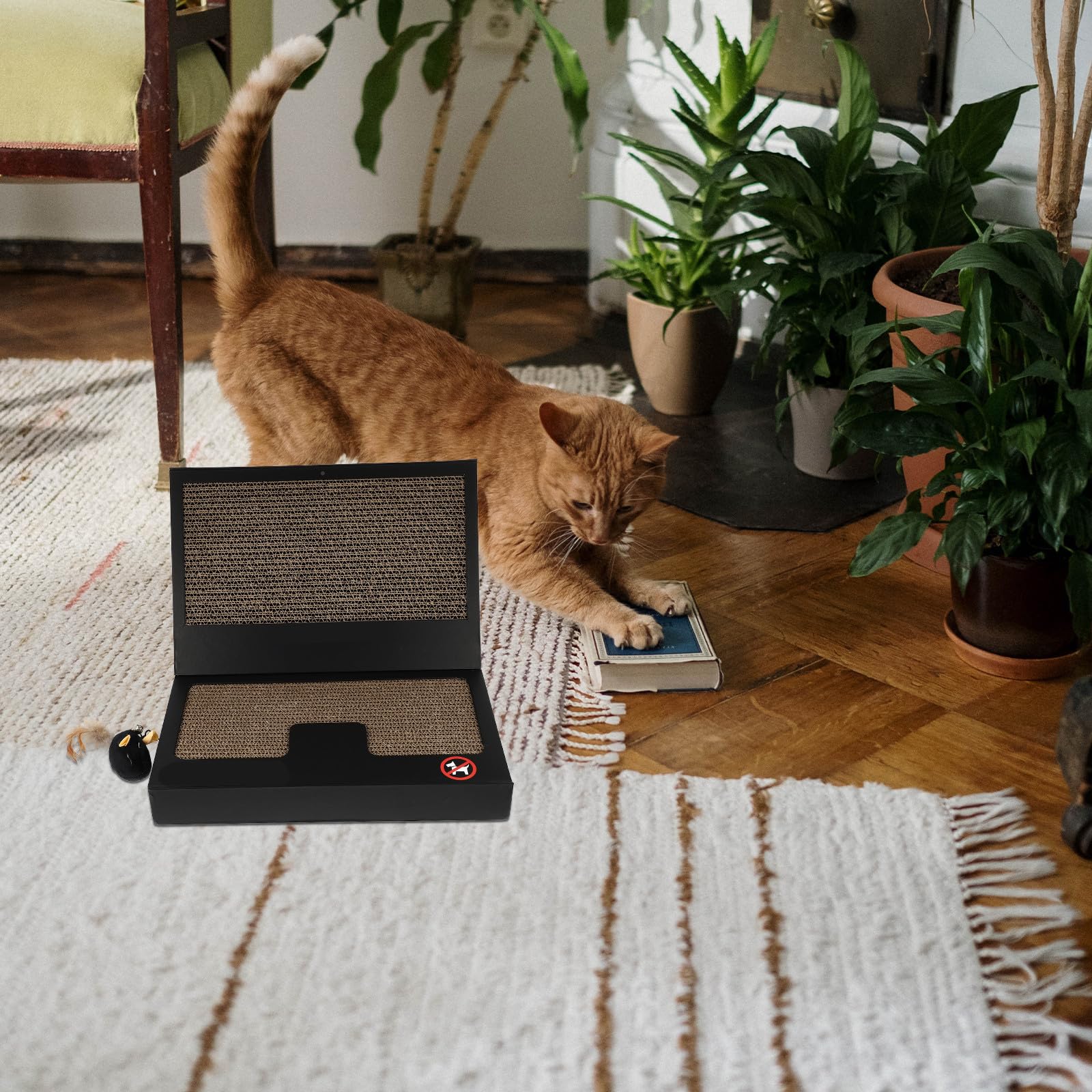 Laptop Modelliertes Katzenkratzspielzeug Kreatives Kratzbrett aus Wellpappe mit Stabiler Konstruktion und Beißring, ideal für Katzen im Wohnraum