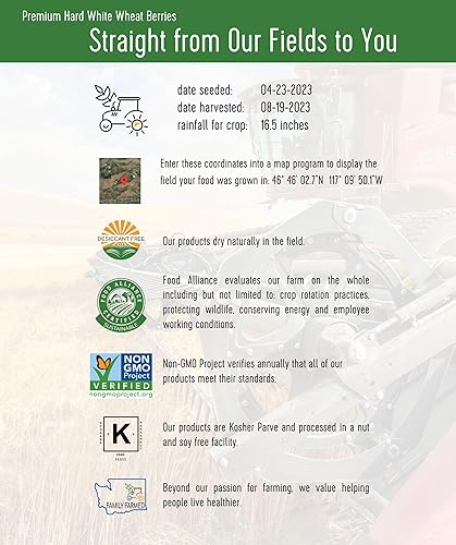Miniatura 4 de Grano de trigo blanco duro verificado sin OMG  100 sin irradiar  Kosher Parve  Cosechado en EUA Con rastreo de campo