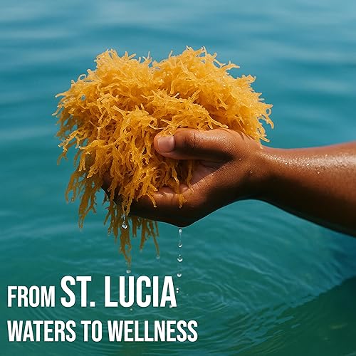 Miniatura 5 de Musgo marino irlandés peruano  Elaborado en la naturaleza de Santa Lucía  4 onzas hace  120 onzas de gel de musgo marino  100% natural, crudo y