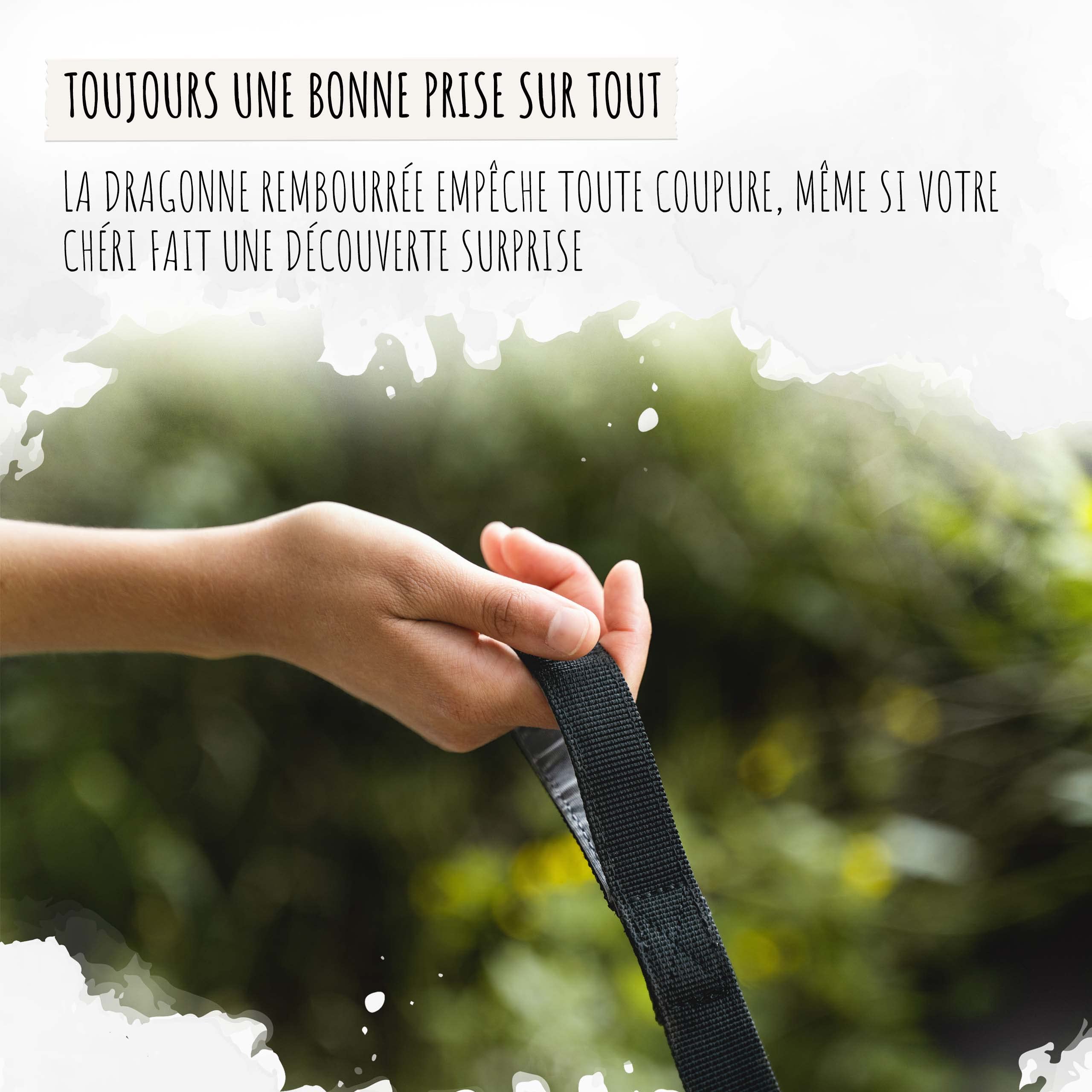 Rudelkönig Longe pour Chien 20m - Robuste et résistante aux intempéries - Longe avec poignée rembourrée - Laisse de Dressage pour Chien Pratique et Confortable