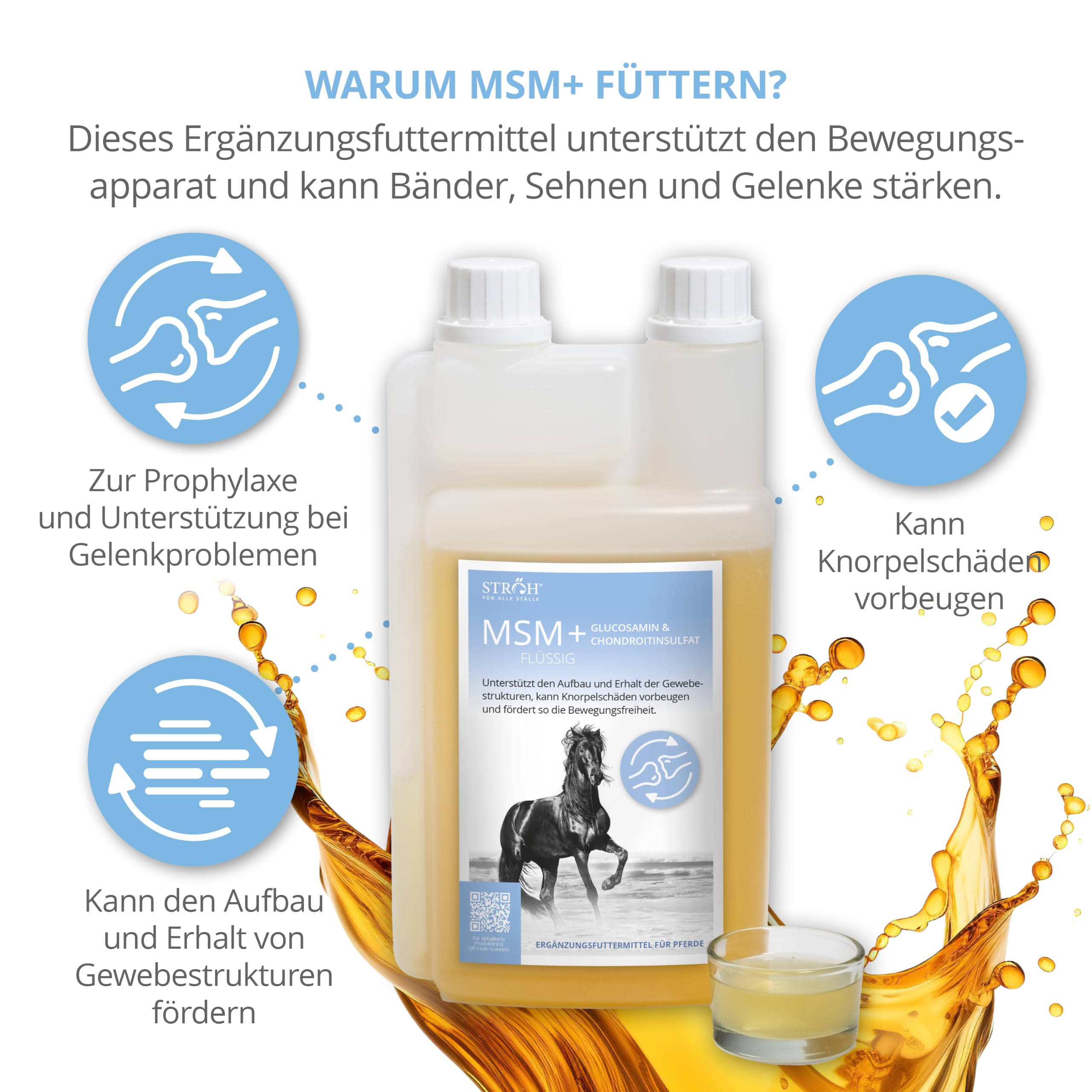 STRÖH MSM flüssig für Pferde - Mit Glucosamin & Chondroitinsulfat - 1L | Für Bänder, Sehnen, Gelenke - Premium Gelenk-Elixier Pferd - Hohe Bioverfügbarkeit - Ergänzungsfuttermittel