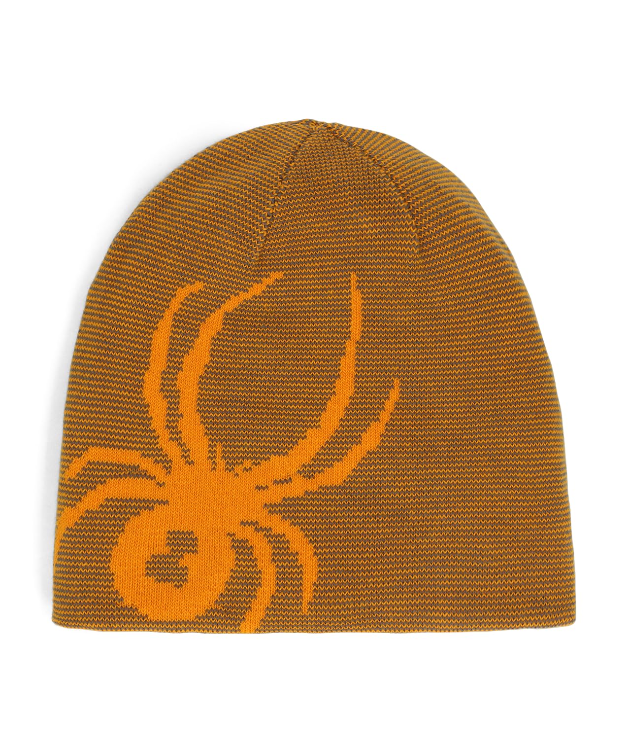 Spyder Boy's Youth Reversible Bug Ski Beanie