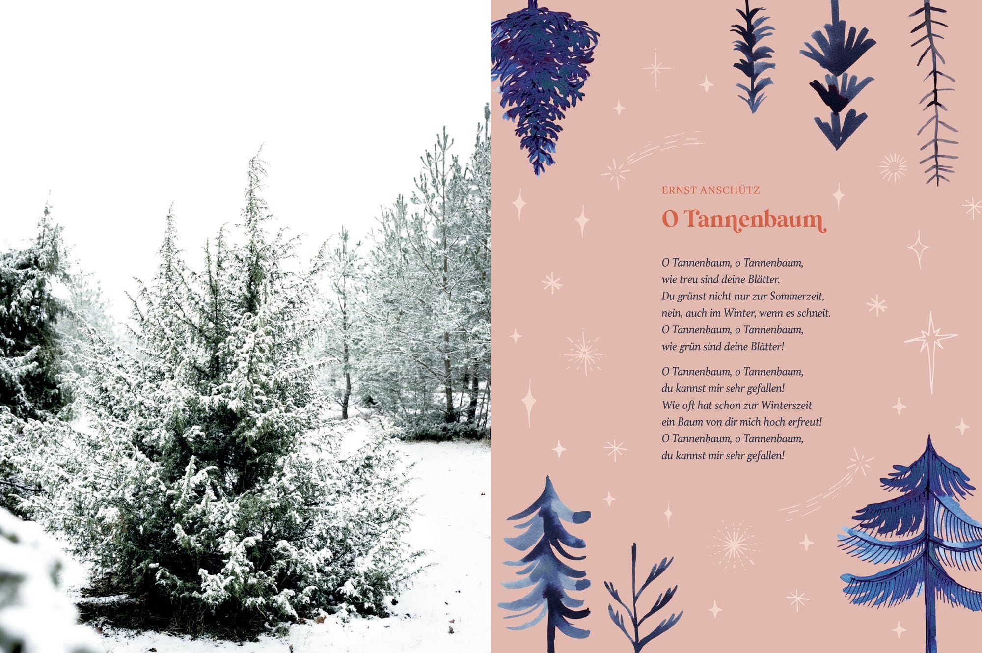 Bake a Wish: Kuchen und Gebäck für die Weihnachtszeit: Weihnachts-Backbuch mit 55 himmlischen Rezepten für die schönste Zeit des Jahres