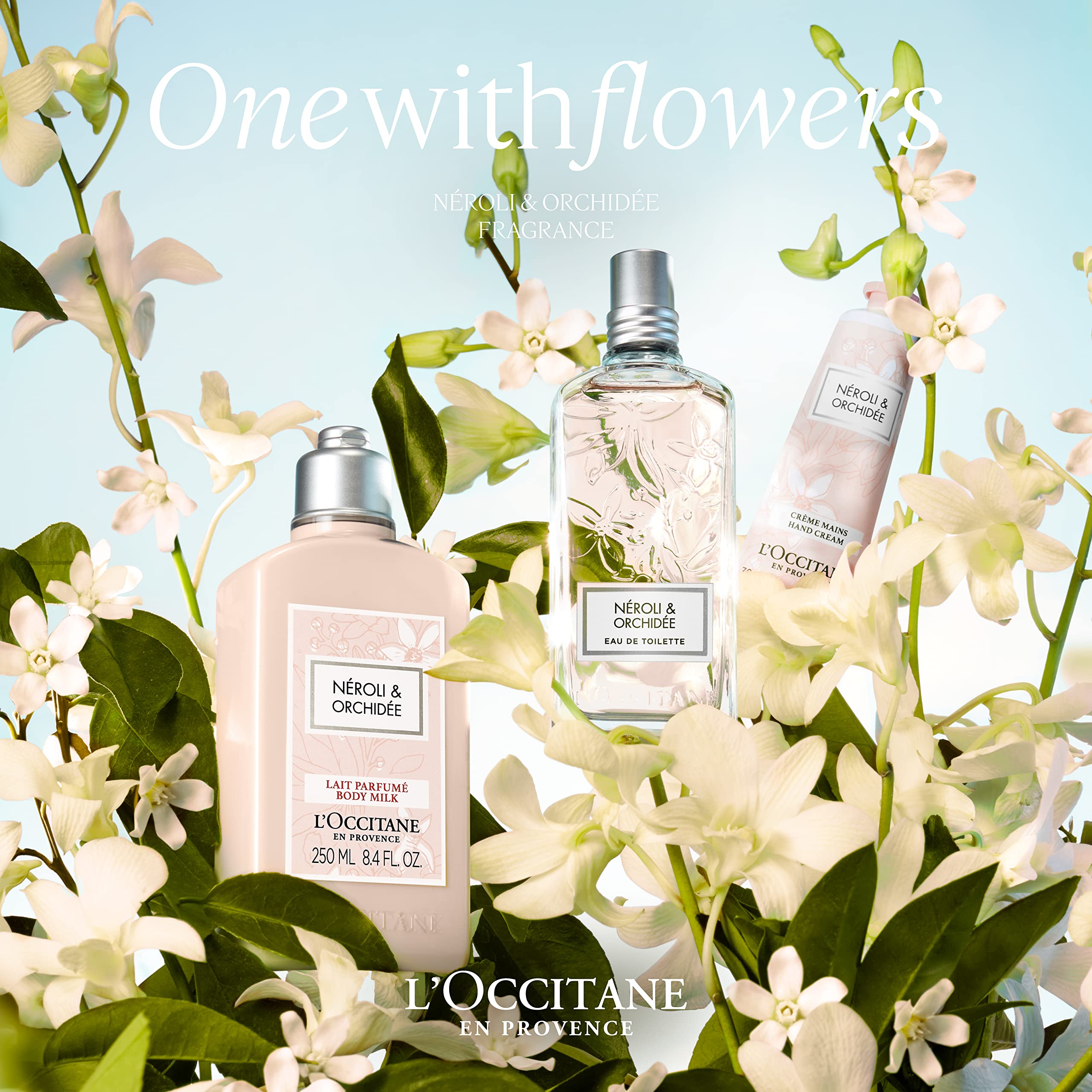 Amazon.co.jp: ロクシタン(L'OCCITANE) ネロリオーキデ オードトワレ