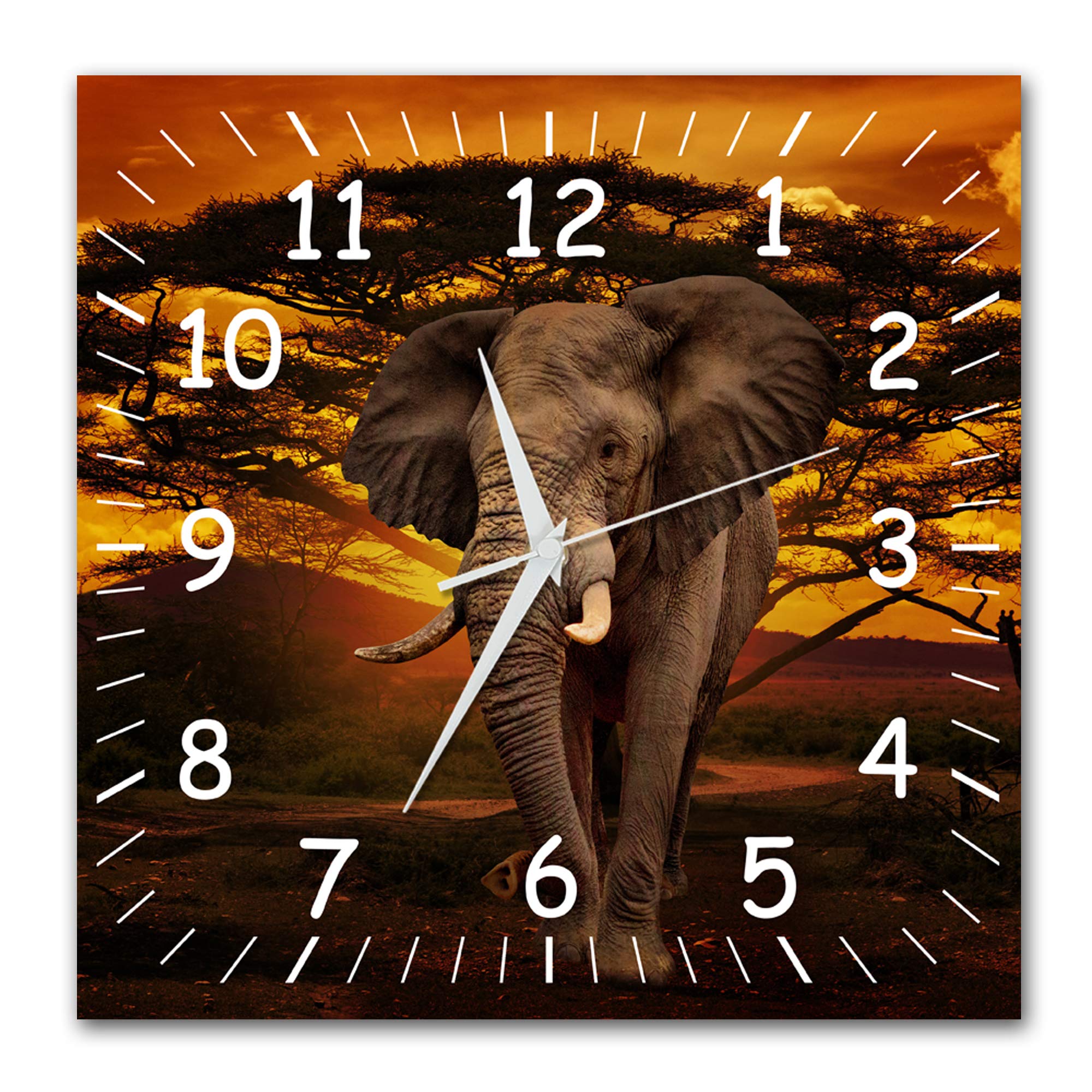 BM Funk Quarz Wanduhr Funkwanduhr Funkwanduhren Funkuhr Funkuhren kein Ticken lautlos geräuschlos leise modern ohne Tickgeräusche groÃŸ XXL Wohnzimmer Küche Afrika Elefant 9312-1a WZ