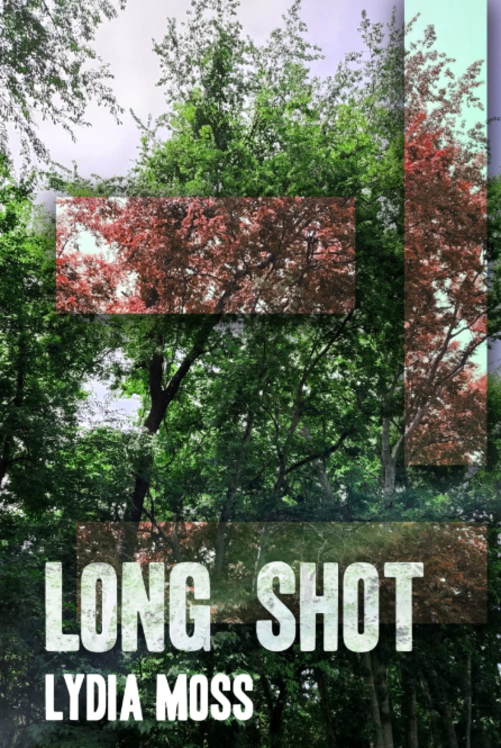 Long Shot: Big Shot Christian Romantic Suspense Book 1