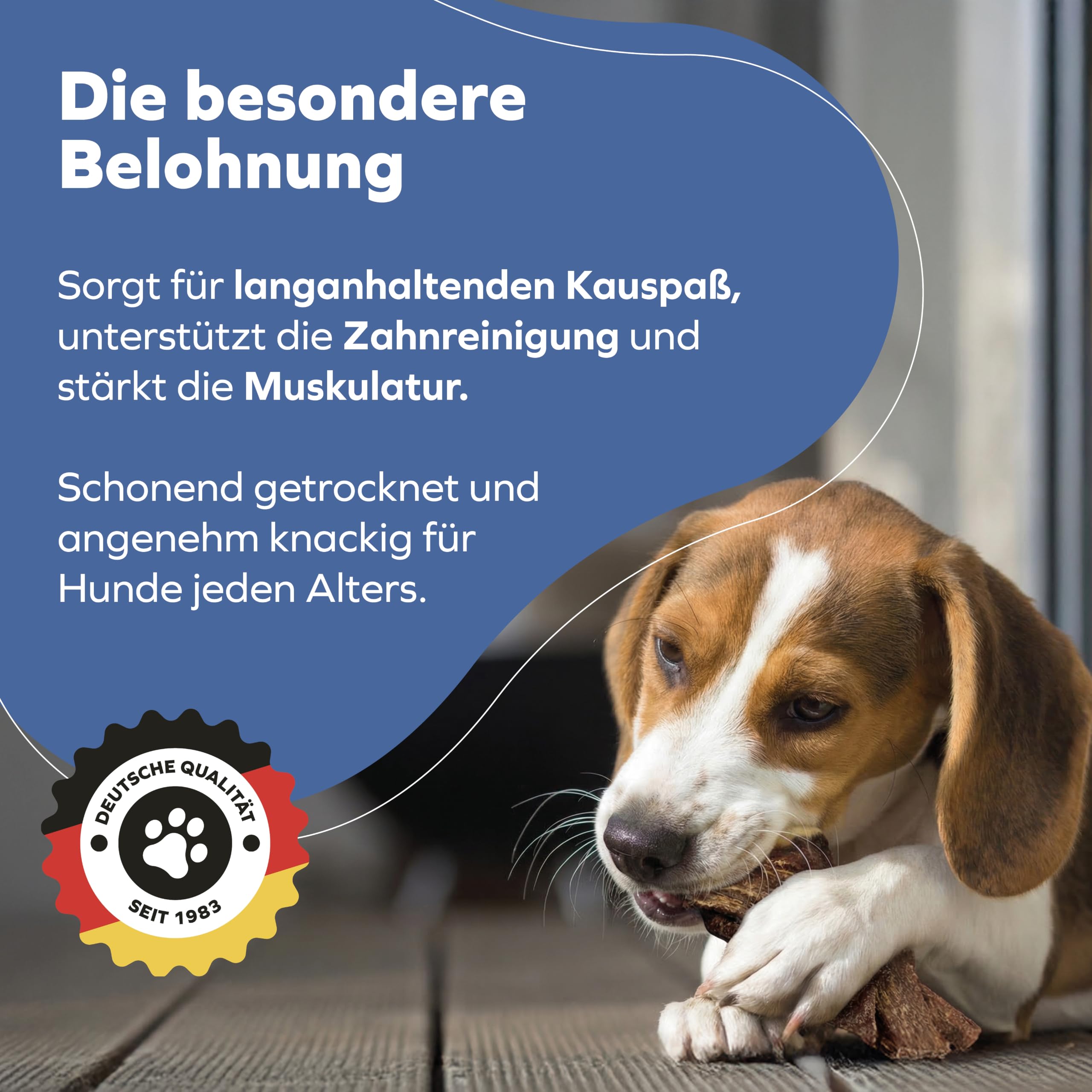 Rinderdörrfleisch für Hunde - 8-12 cm leckere Kaustangen - Hundeleckerli aus Trockenfleisch - 1000g Hundesnack