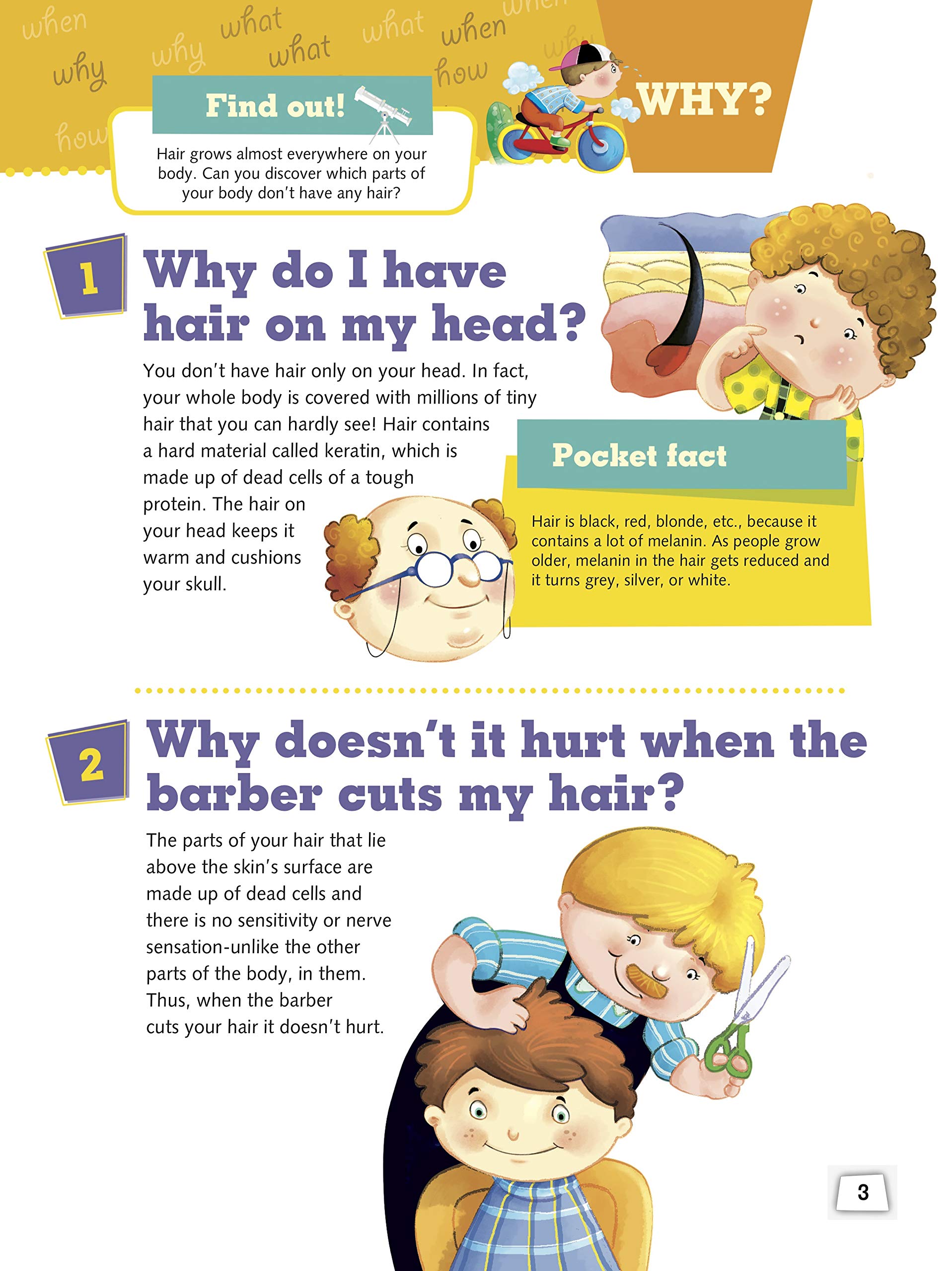 Encyclopedia: Human Body Why? (Questions and Answers) 1