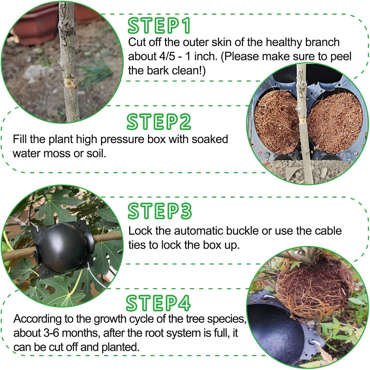 12 unidades de dispositivos de enraizamiento de plantas, cajas de cultivo de raíces de plantas para propagación de plantas, bola de enraizamiento de propagación razonable para plantas de corte