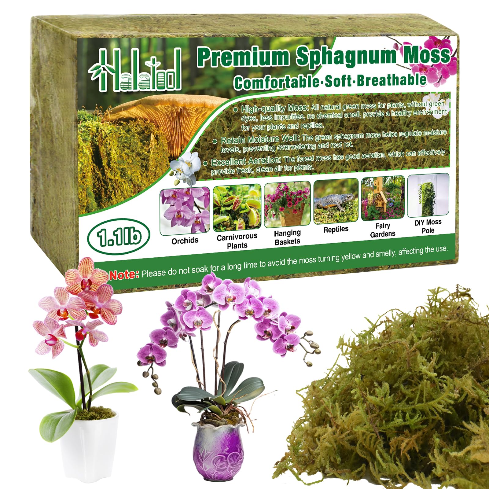 Halatool 500g Natural Sphagnum Moss for Plants, Long Fibered Dried Forest Moss, Premium Substrate for Carnivorous/Potted Plants, Reptile Habitat Decoration