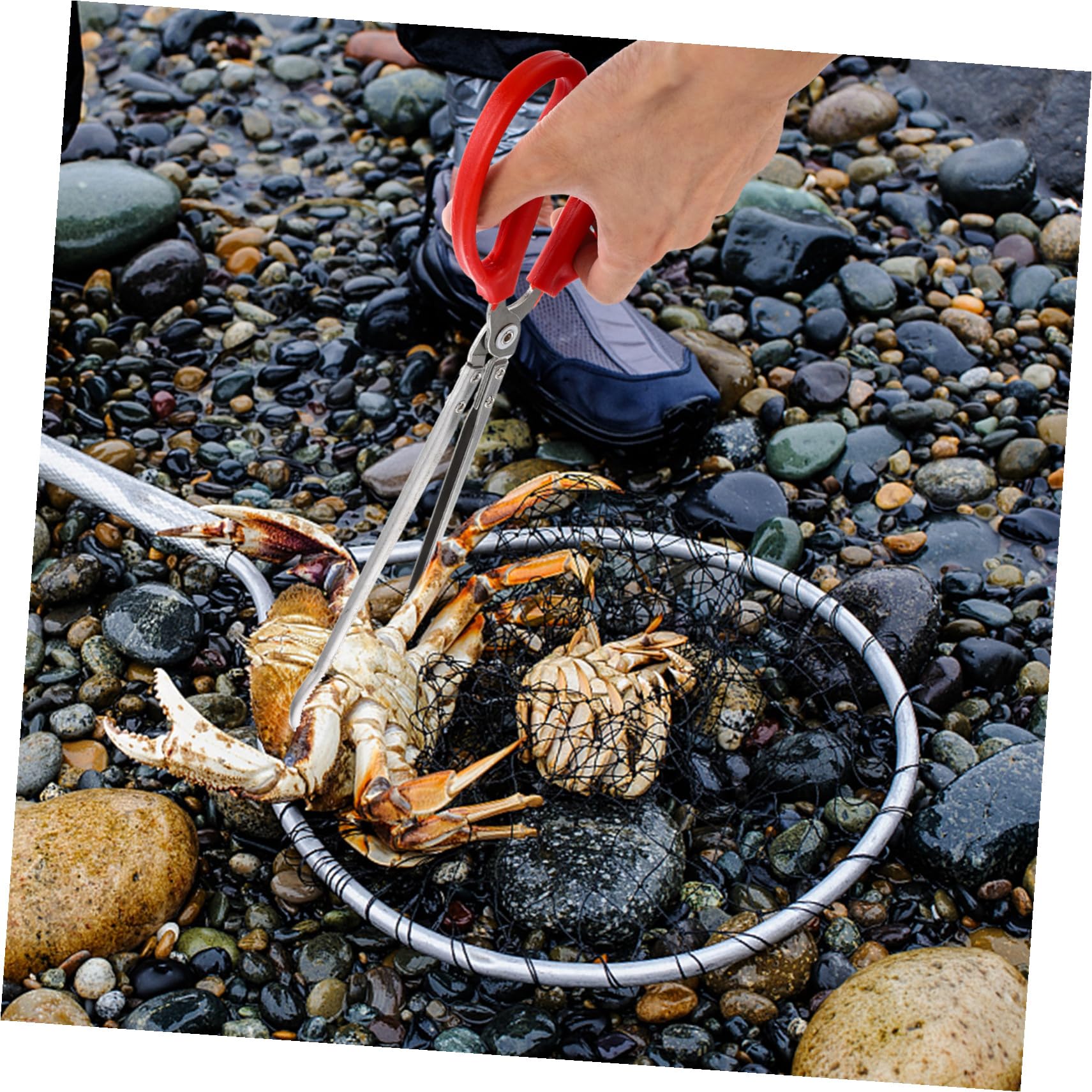Longues Pinces à Crabe Portables en Acier Inoxydable et Abs Antidérapantes