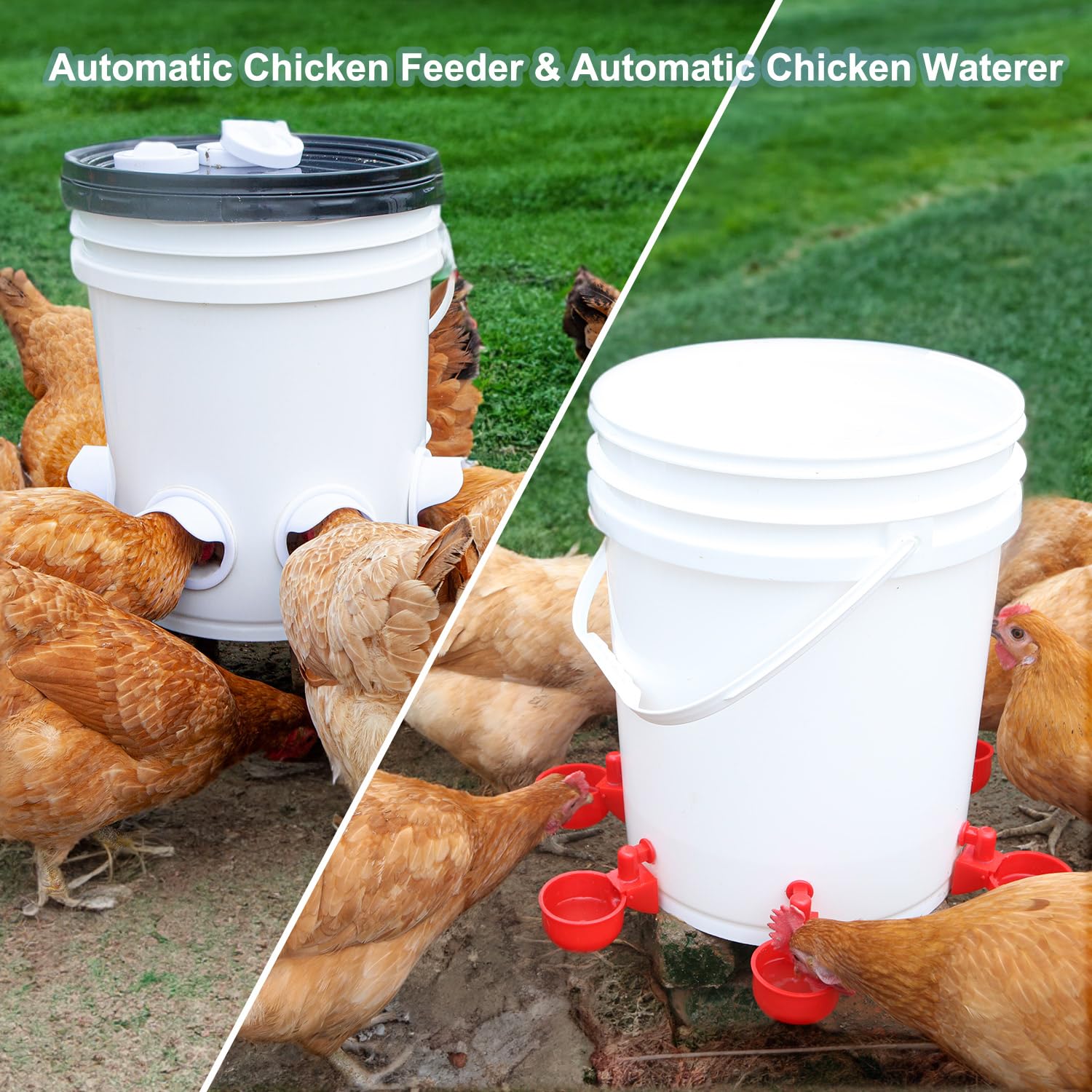 No Waste Chicken Feeder Automatic Chicken Feeder Kit - 6 Port Rainproof