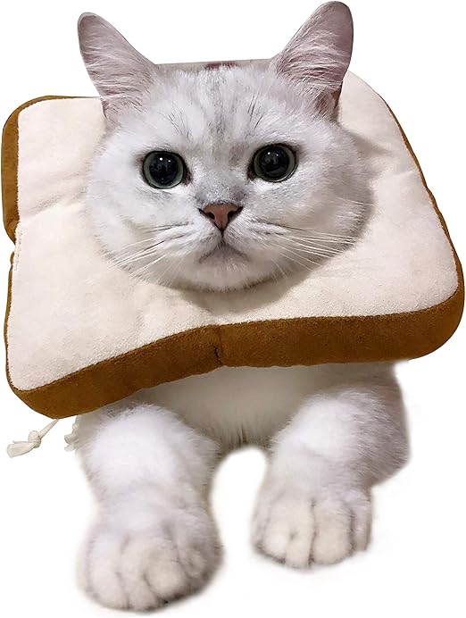 Amazon エリザベスカラー 猫 舐め防止 ソフト サイズ調整可能 軽量 ハロウィーン クリスマス着装 手術後 保護襟 傷舐め防止 噛む防止 快適 トースト Usams エリザベスカラー 通販