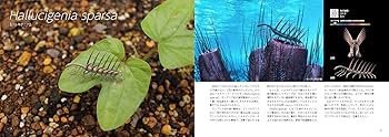 リアルサイズ古生物図鑑 古生代編 古生物のサイズが実感できる! 古生物のサイズが実感できる! リアルサイズ古生物図鑑 古生代編