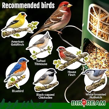 Birdream Metal Bird Feeder for Outdoors Hanging, Large Capacity, Green