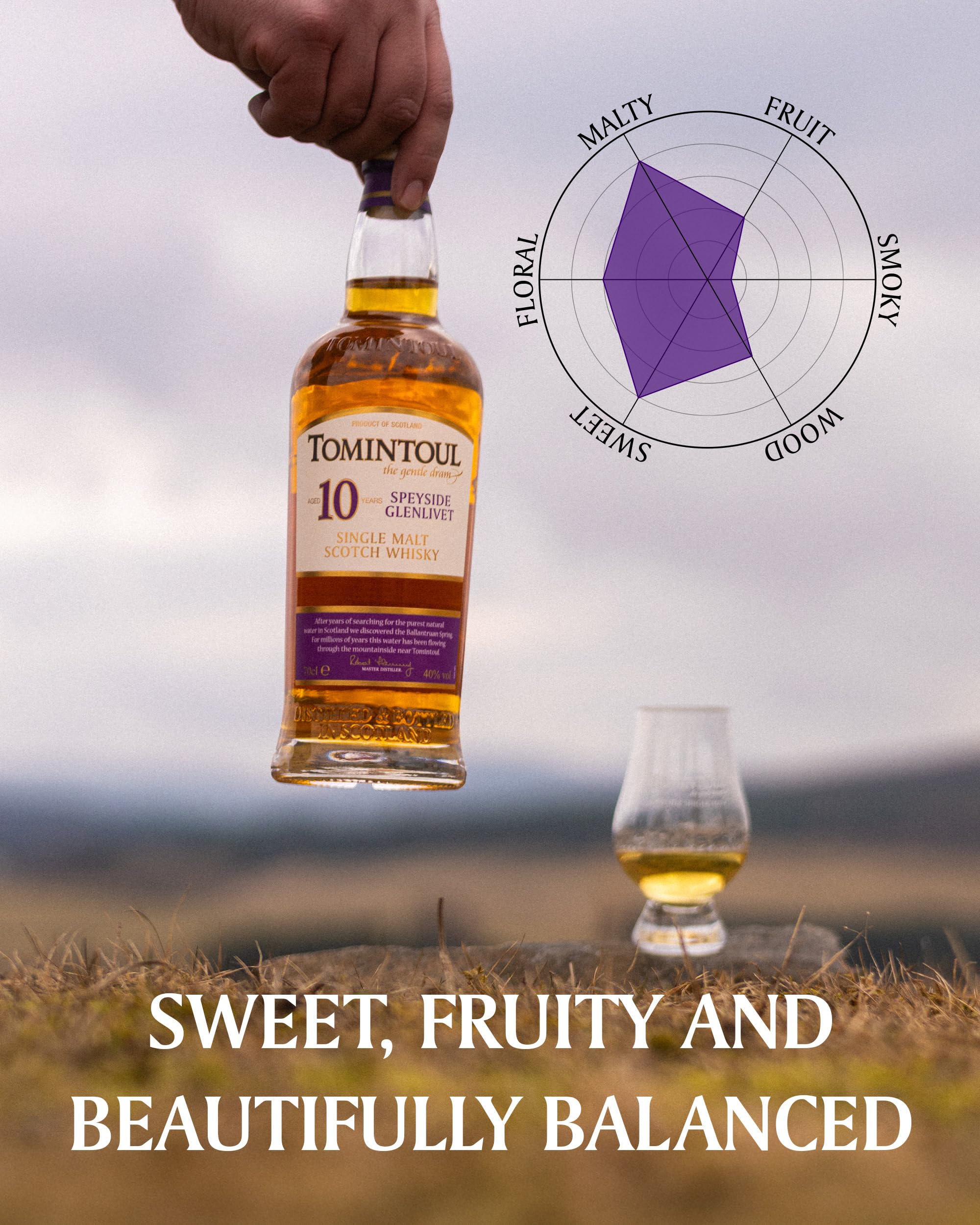 Amazon.co.jp: トミントール 10年 (700ml・40度) : 食品・飲料・お酒