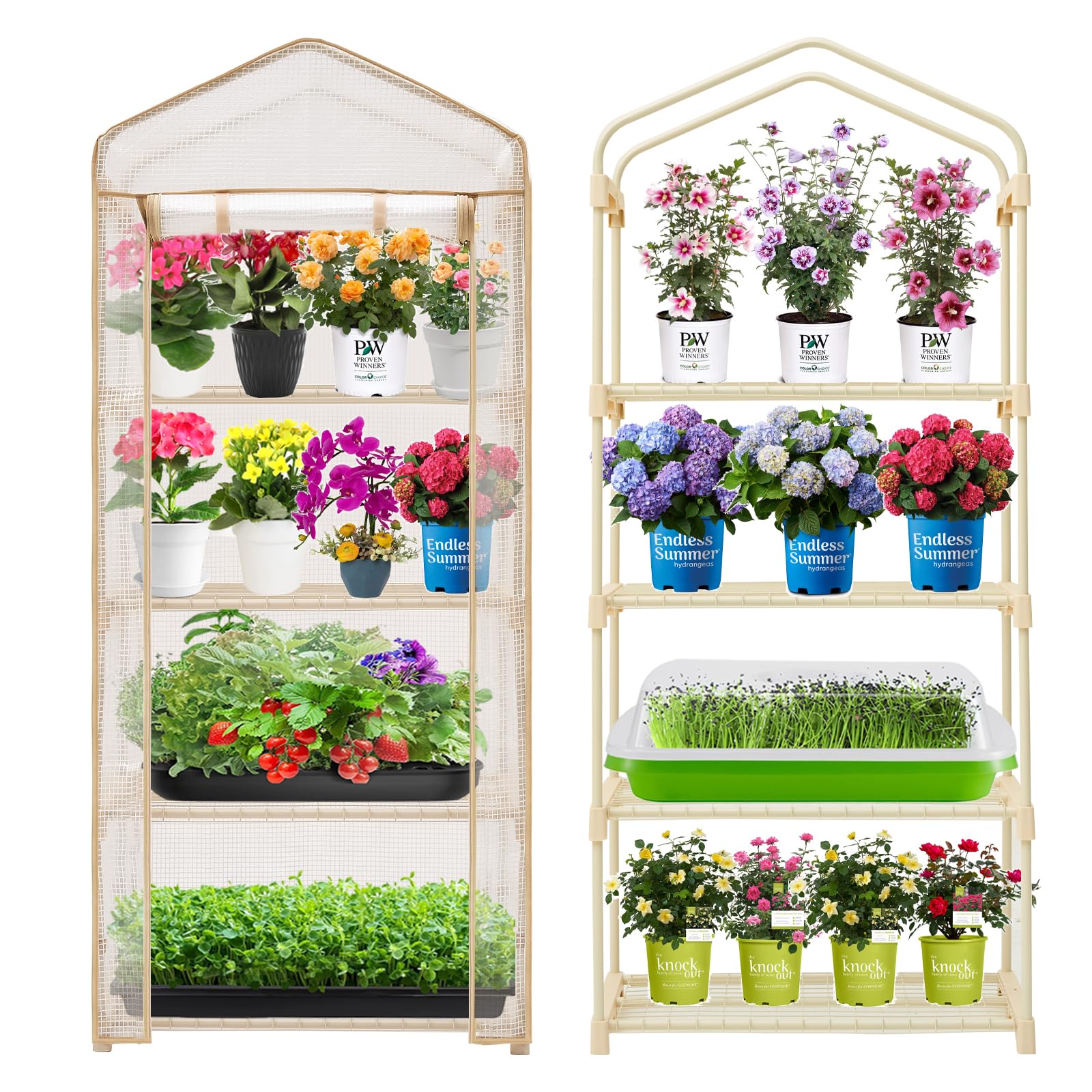 Purlyu 4-Tier Mini Greenhouse