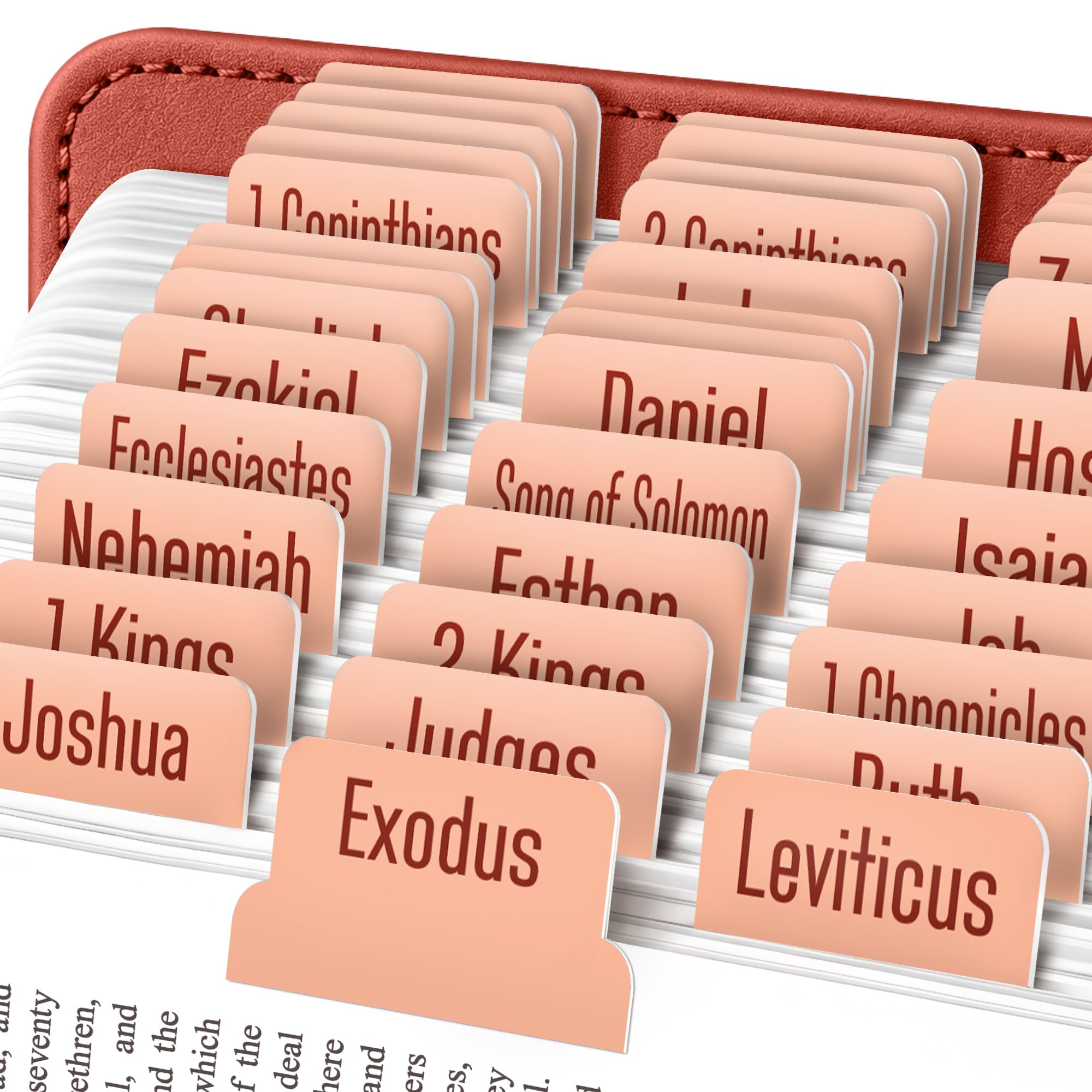 EssexWares - Peach Bible Tabs for Old and New Testament, 80 Large Print Tabs for Bible Study, Water-Resistant and Durable Index Tabs for Women and Men - 1.7" Wide